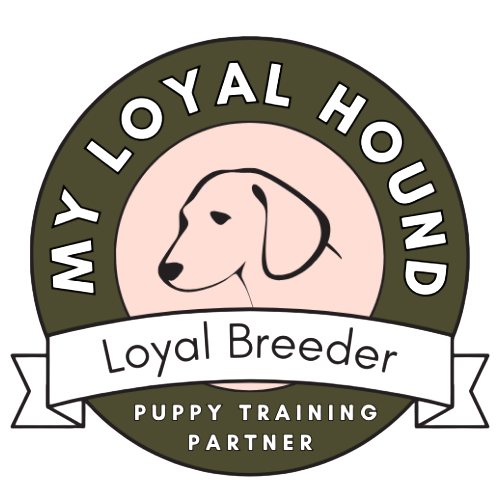 Logo for My Loyal Hound, a puppy training partner, featuring a cartoon dog's face inside a circular badge with green and purple colors.