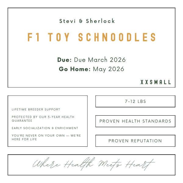 Design of a nursery or pet care product with text about F1 Toy Schnoodles and puppy care details.