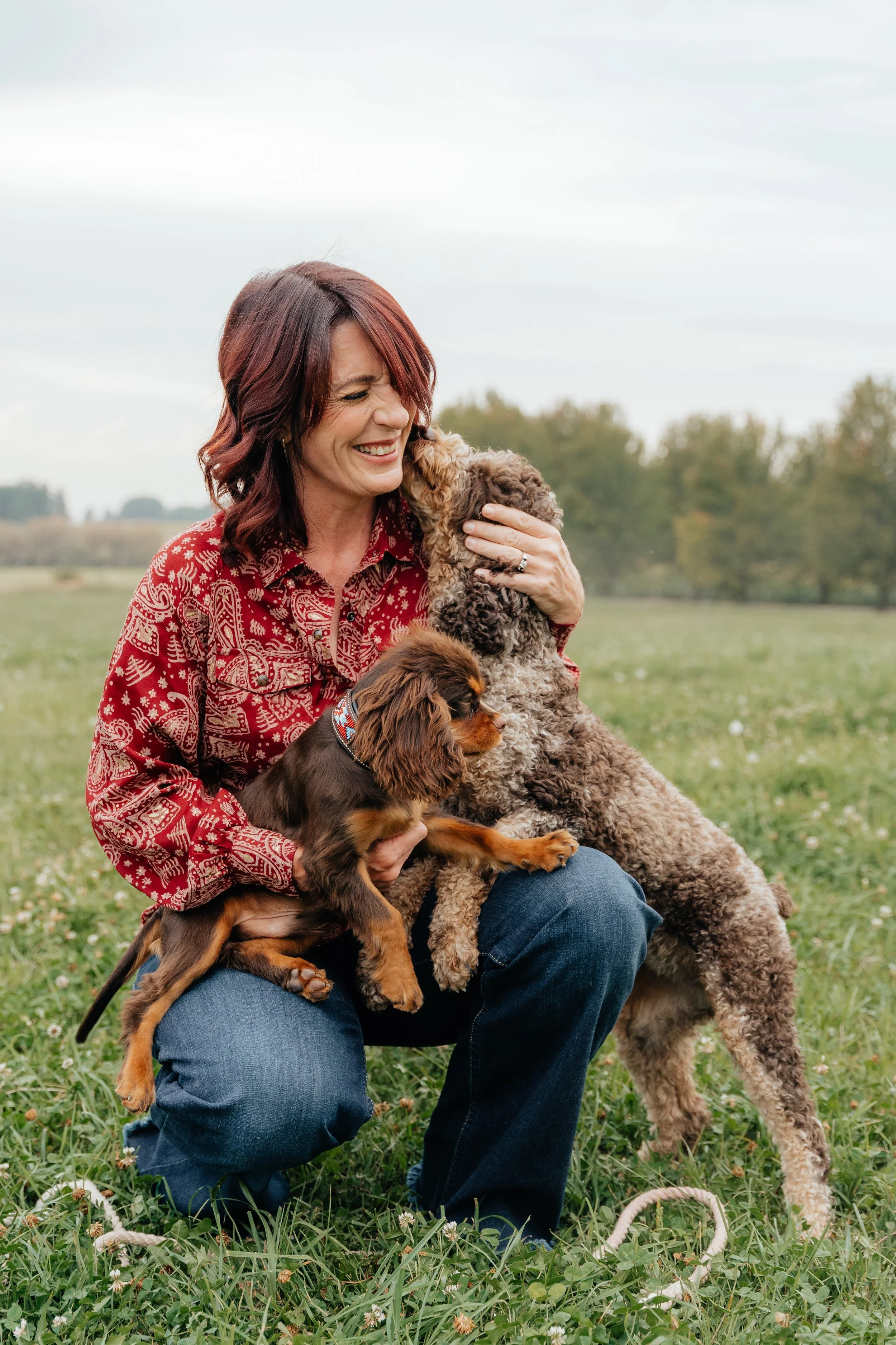 A woman with shoulder-length reddish-brown hair, wearing a red patterned shirt, sits on the grass outdoors, smiling and holding three dogs: a Dachshund on her lap, a curly-haired poodle standing on its hind legs licking her face, and a smaller curly-haired dog leaning against her leg, with trees and a cloudy sky in the background.