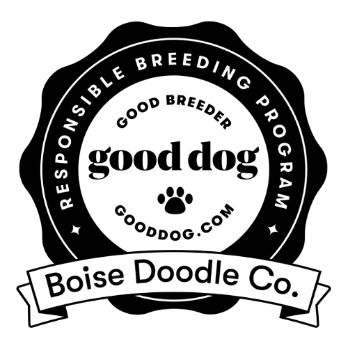 Starry night sky with many stars visible.