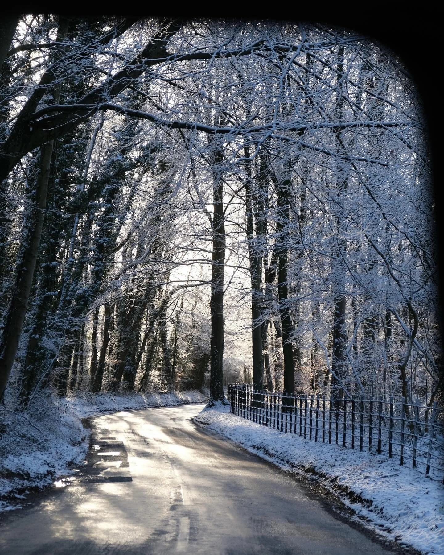 slide-7.jpg