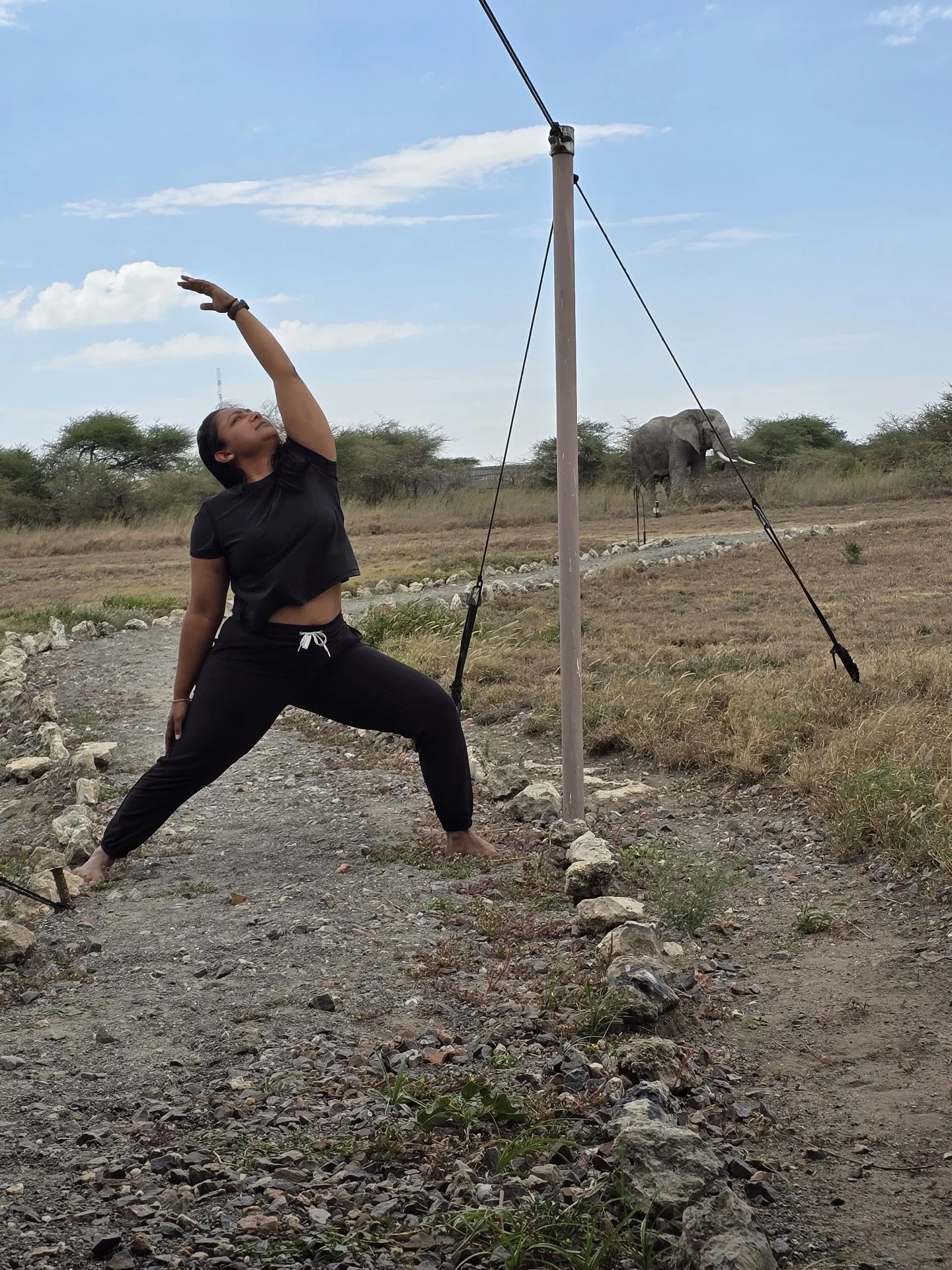 Late 2025, I chased my obsession with elephants all the way to the Tanzanian Serengeti. This beautiful and bold bull just showed up outside our tent one afternoon. I spent the next 30 minutes watching, slow-dancing, flowing, and just be in his presen