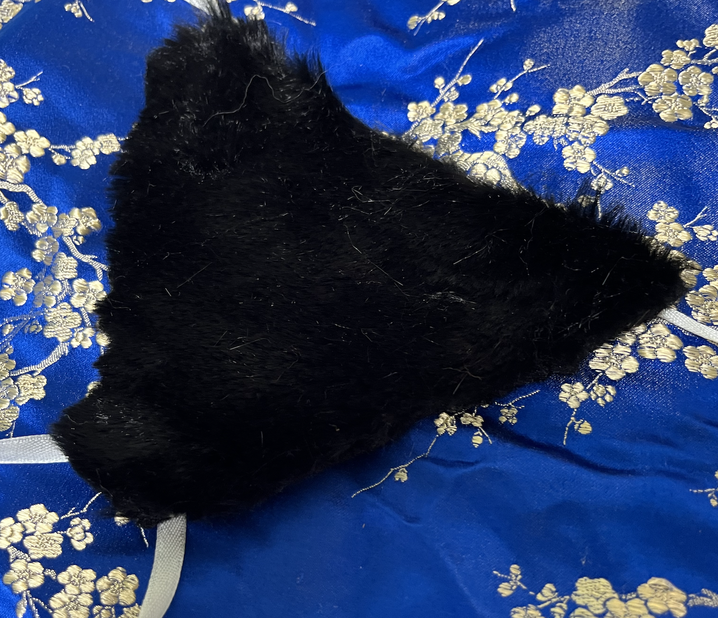 Screenshot 2026-02-19 at 1.09.16 PM.png