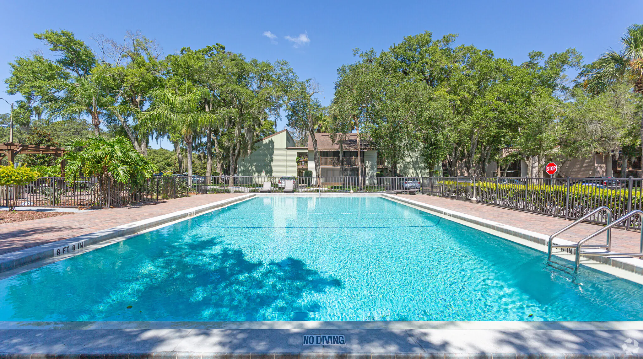 goldelm-at-charter-pointe-altamonte-springs-fl-pool (1) - Copy.png