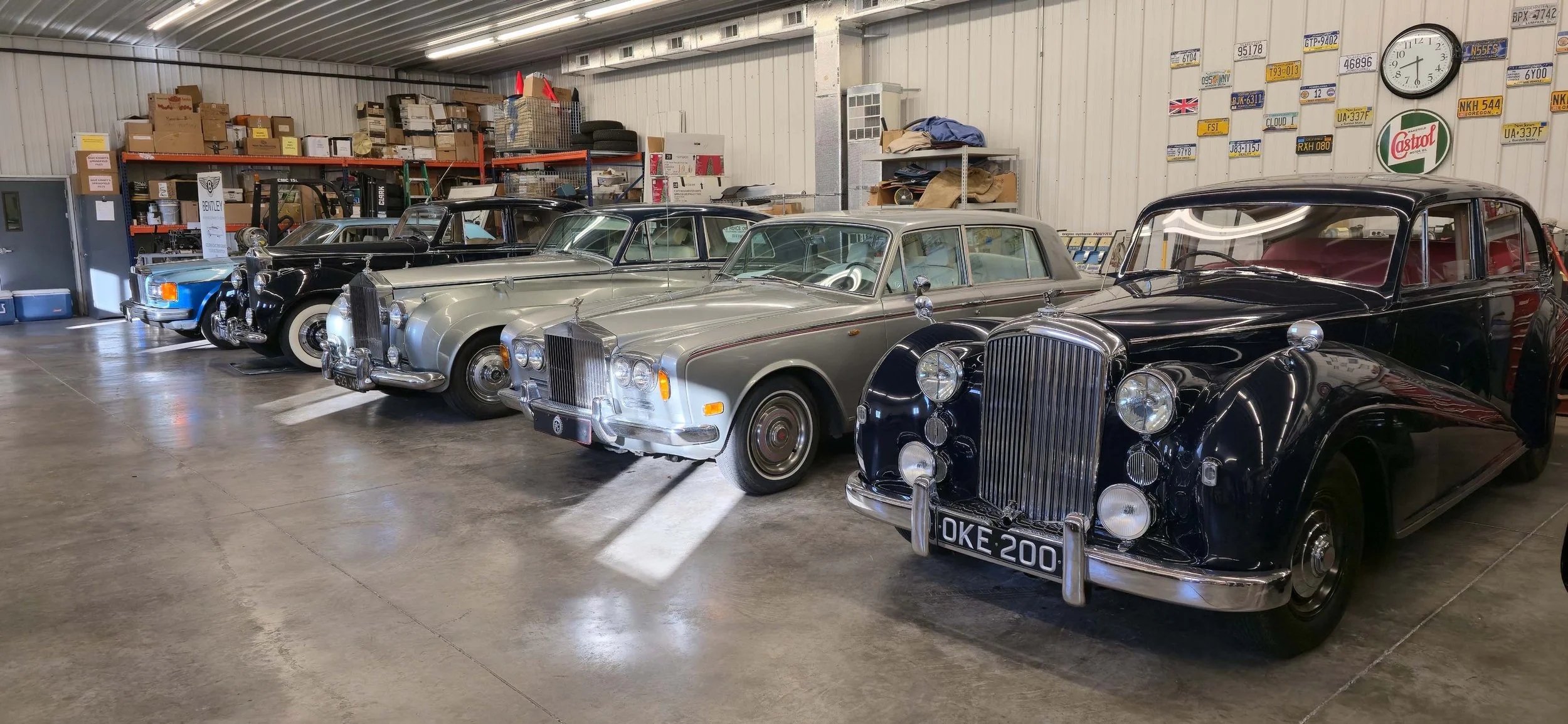 20260328_083116 reduced.jpg