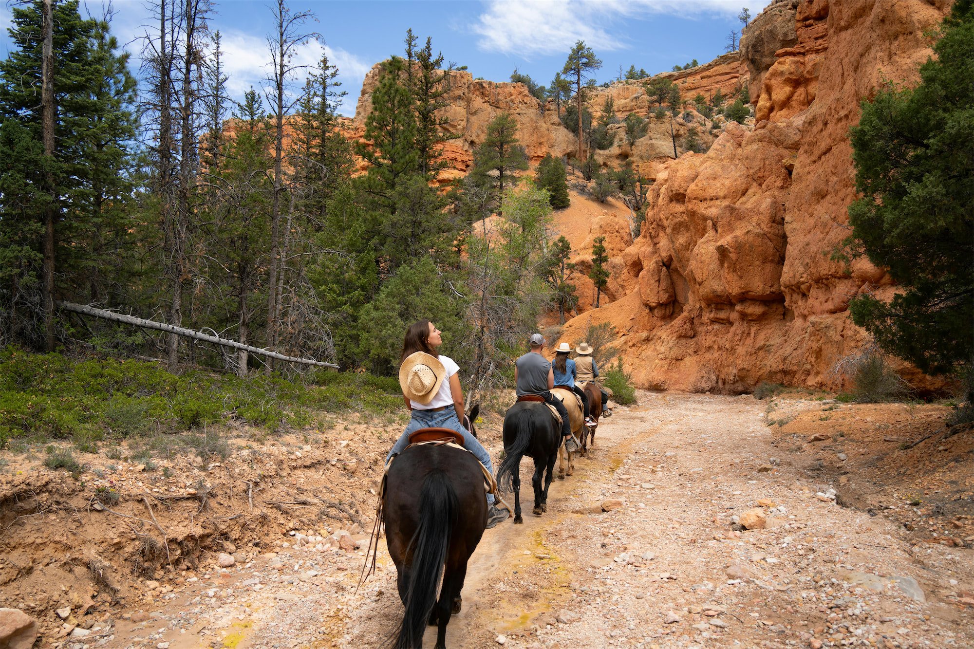 People horseback riding through a desert canyon with red rocks and green pine trees under a partly cloudy sky.