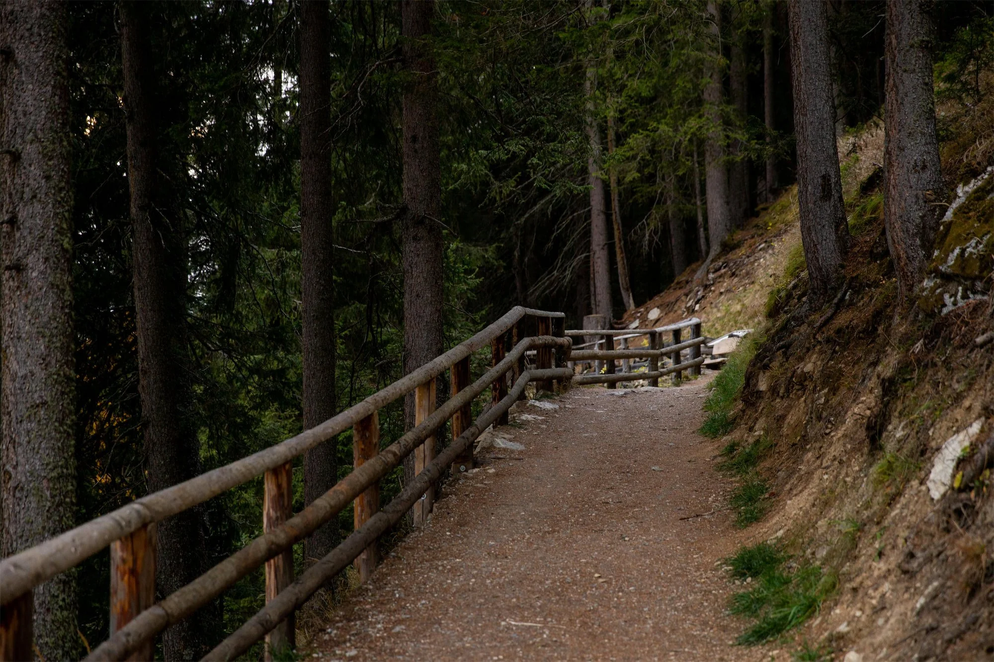 A dirt mountain trail with a wooden railing on the left side, surrounded by tall trees and rocky terrain.