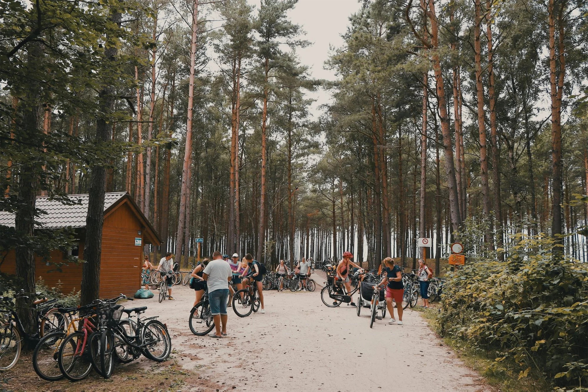 People gathering and preparing their bicycles in a forested park area with tall trees and a small wooden building.