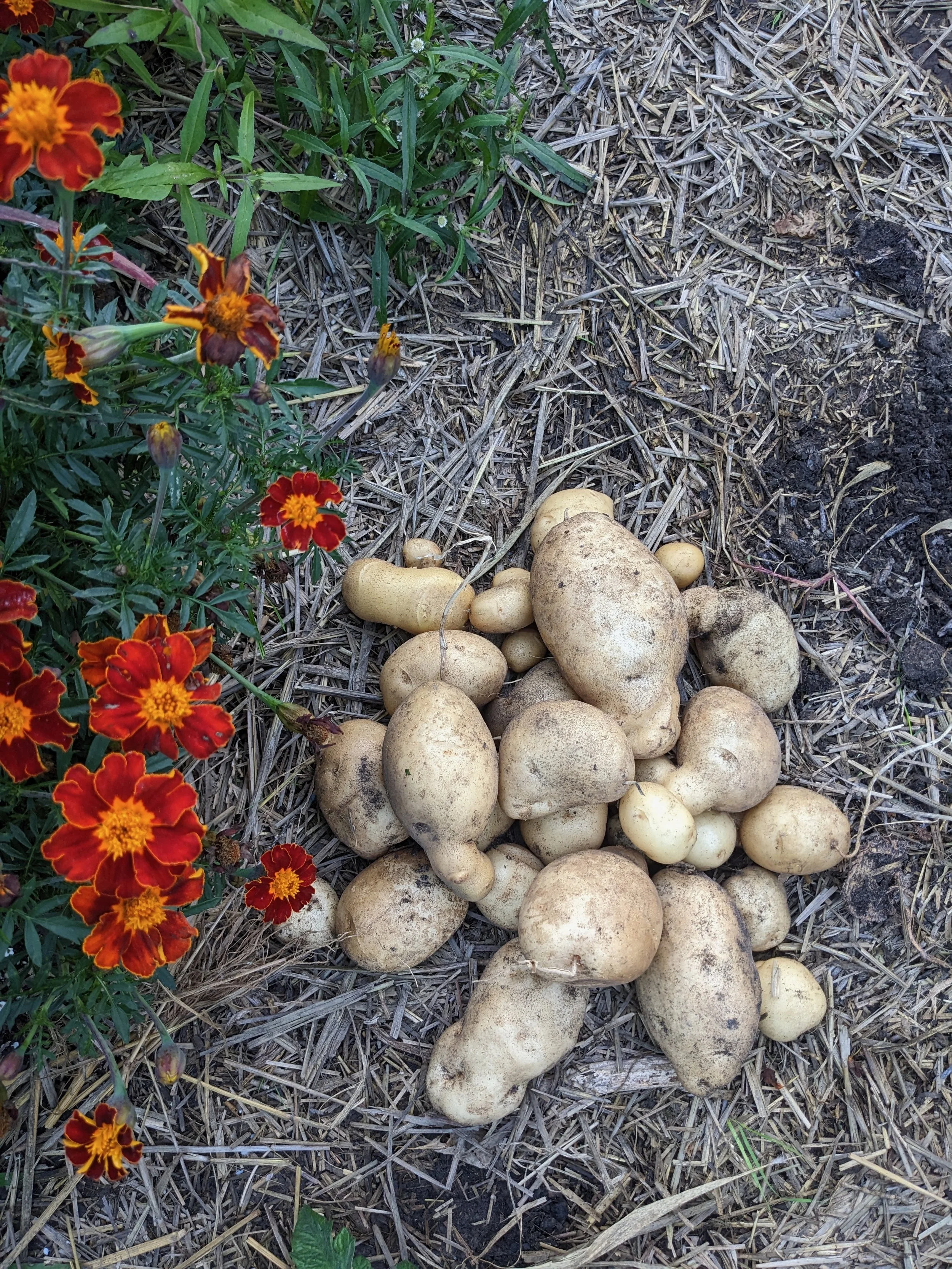 1000008918.jpeg