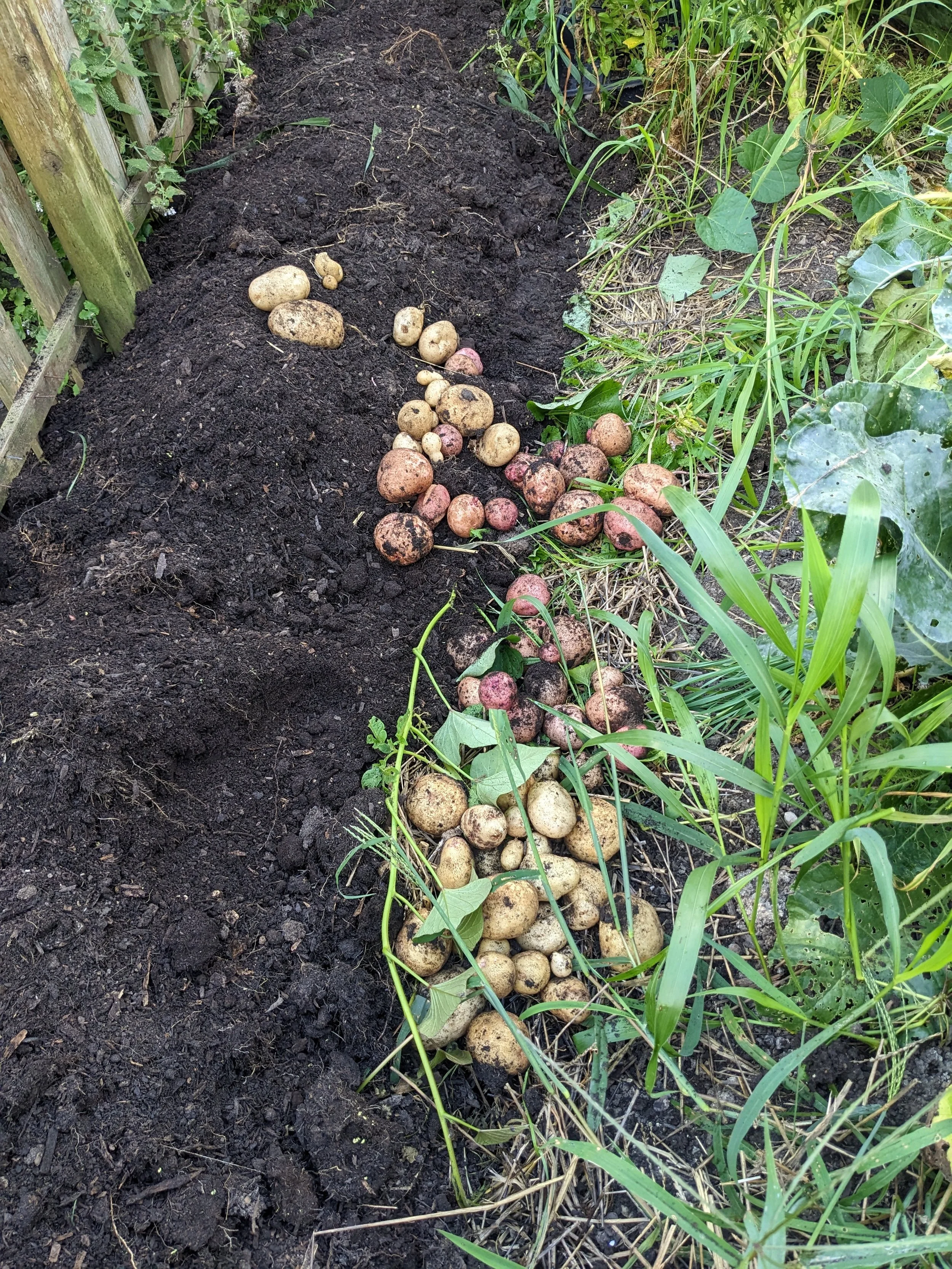 1000008755.jpeg