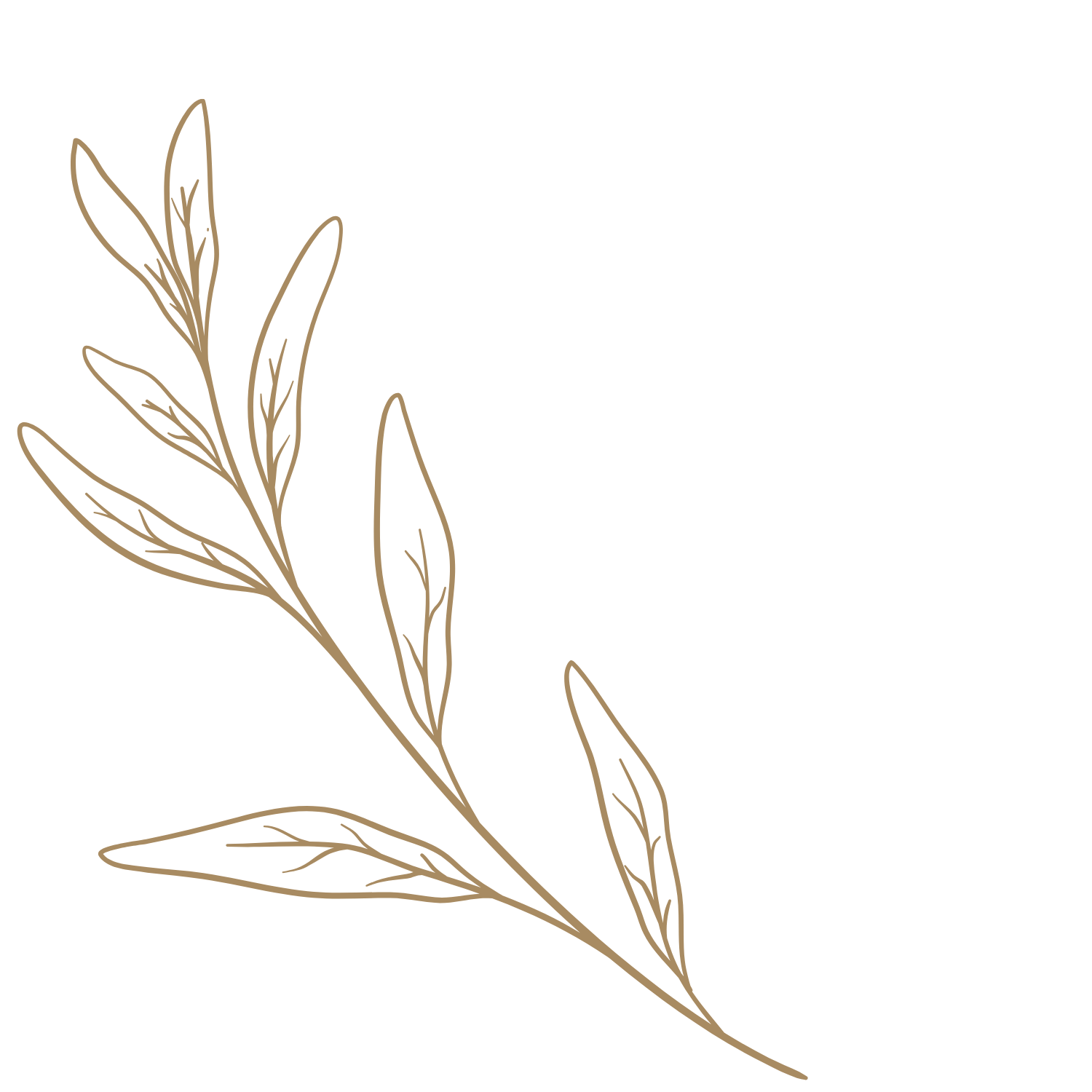 Outline of a leafless plant branch with several elongated, narrow leaves on a dark green background.