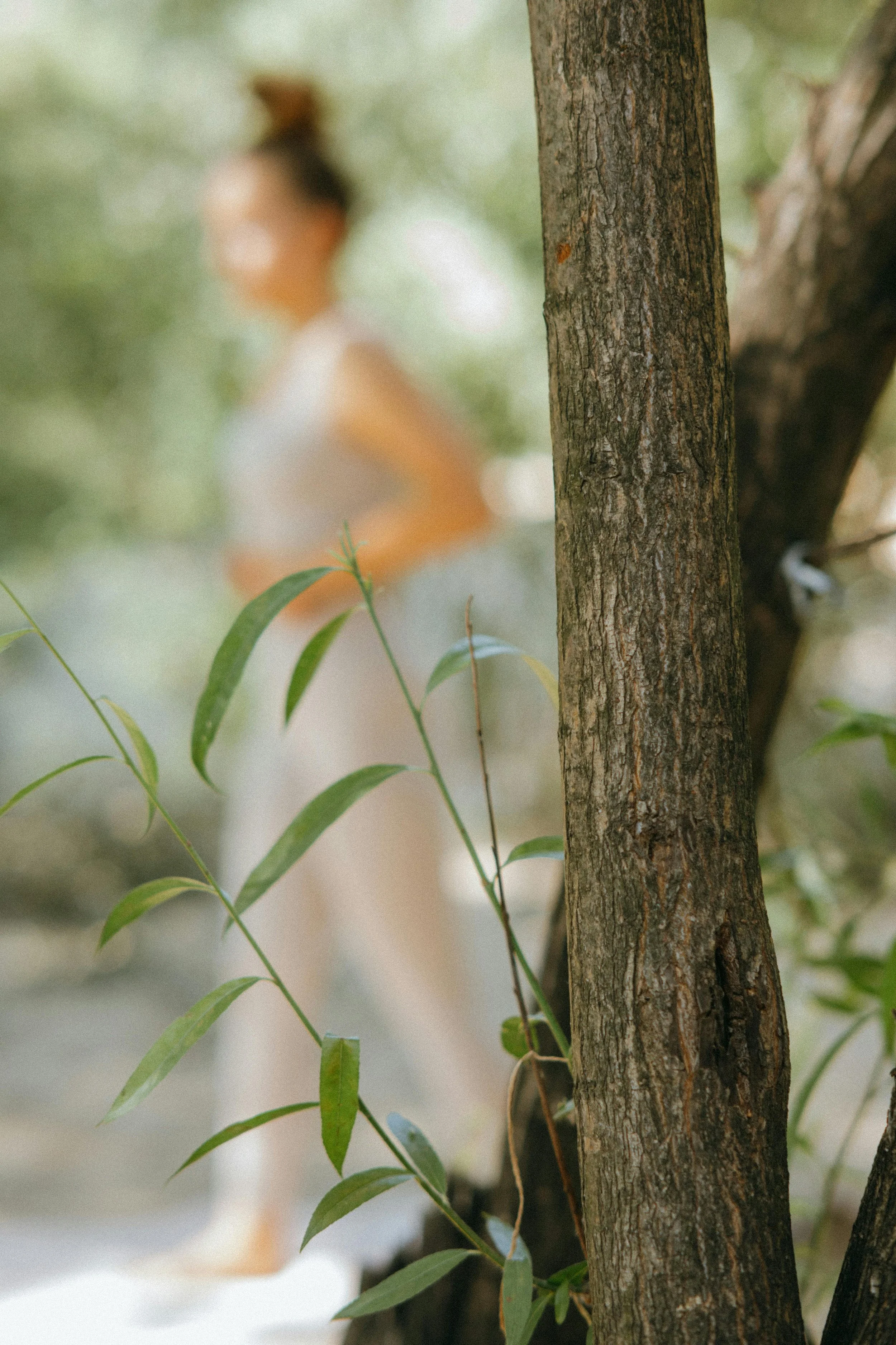 A tree trunk with rough bark in the foreground, and a blurred person with dark hair tied up, wearing a light-colored top, in the background among green foliage.