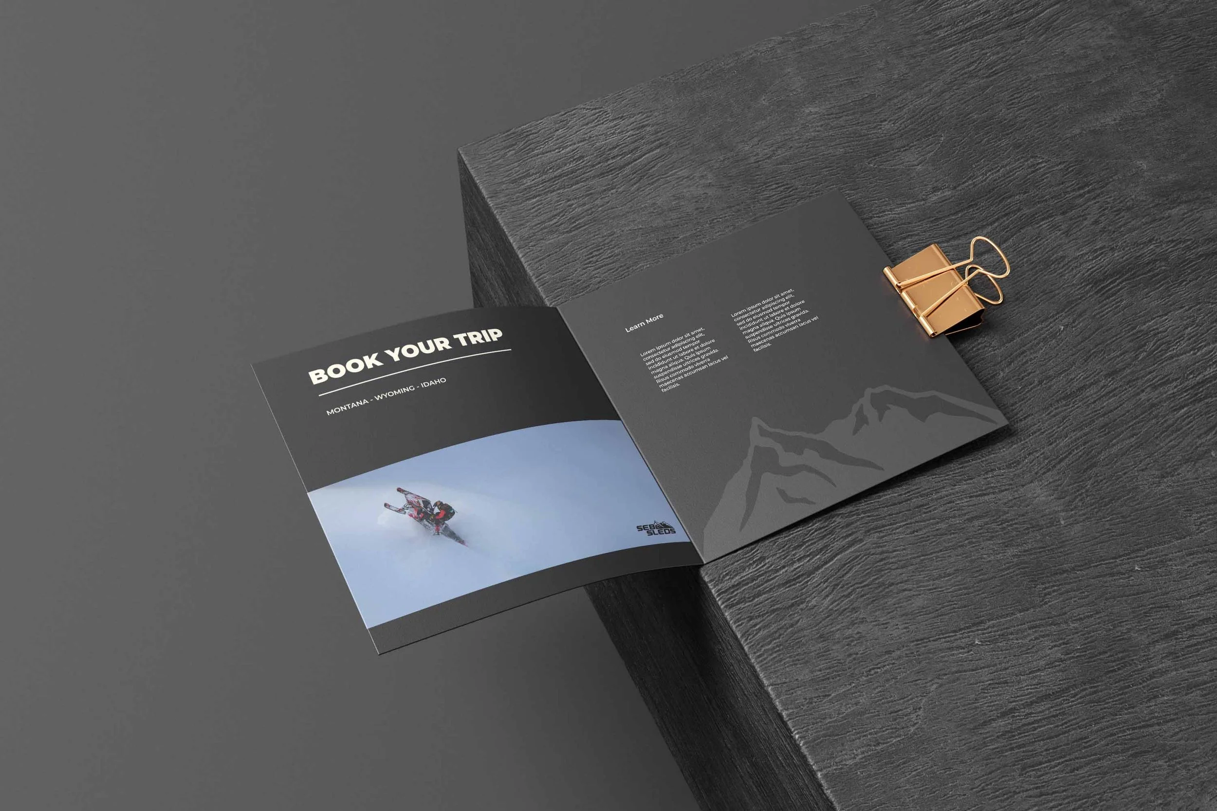 sebsleds-brochure.jpg