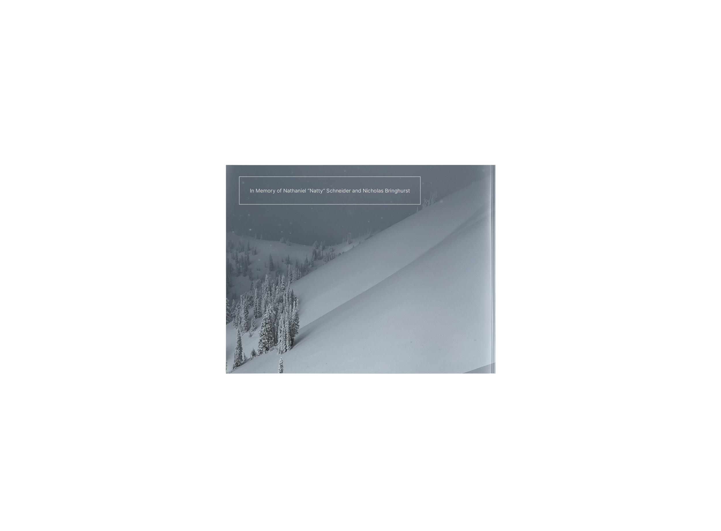 back cover blank.png
