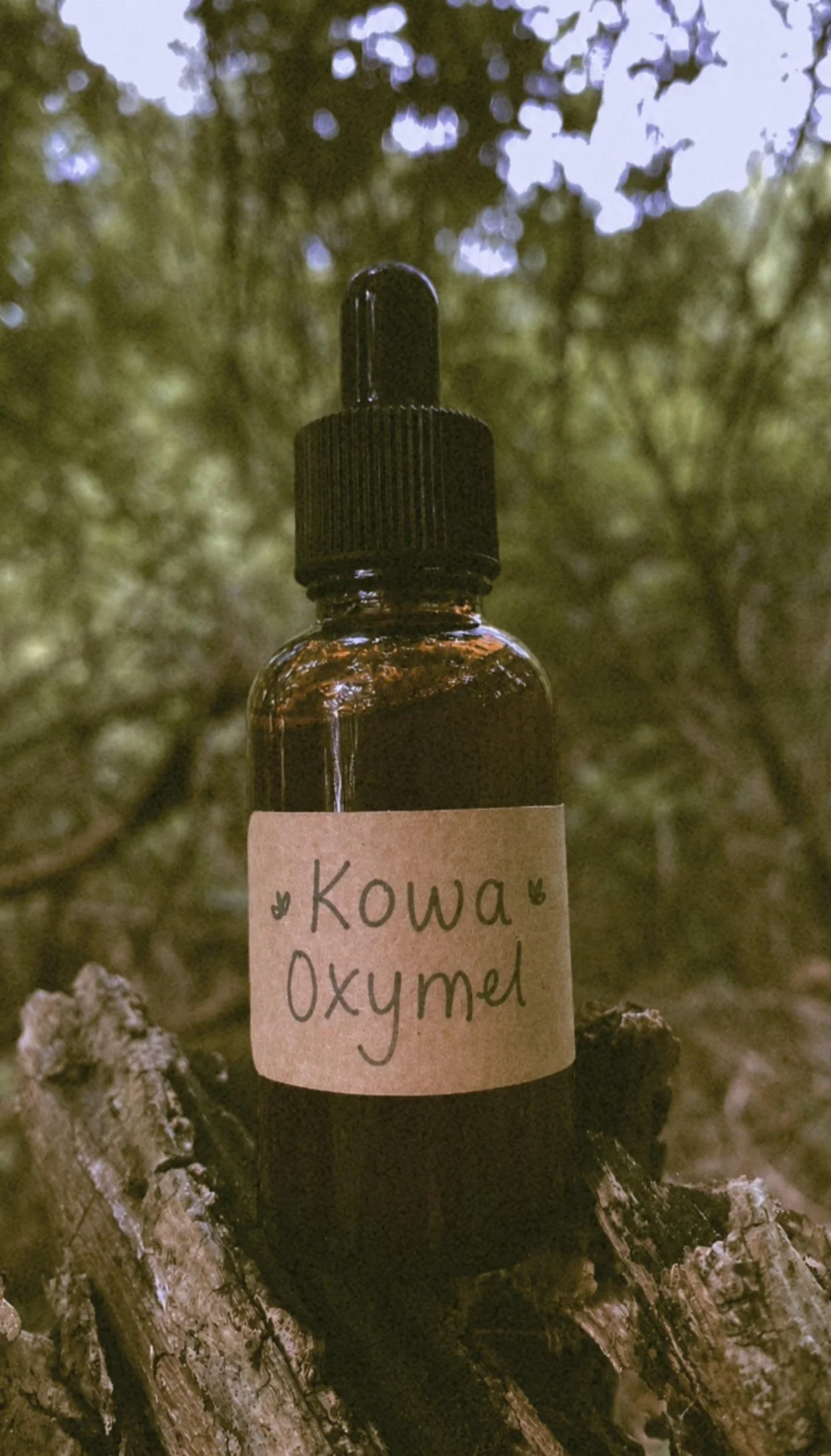 kowa ~ oxymel