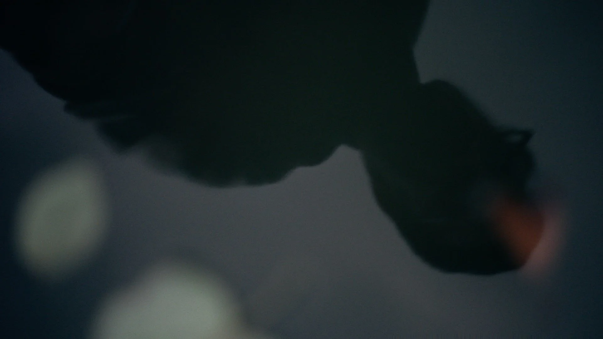 CP - Jaime 50s  - reflection.jpg