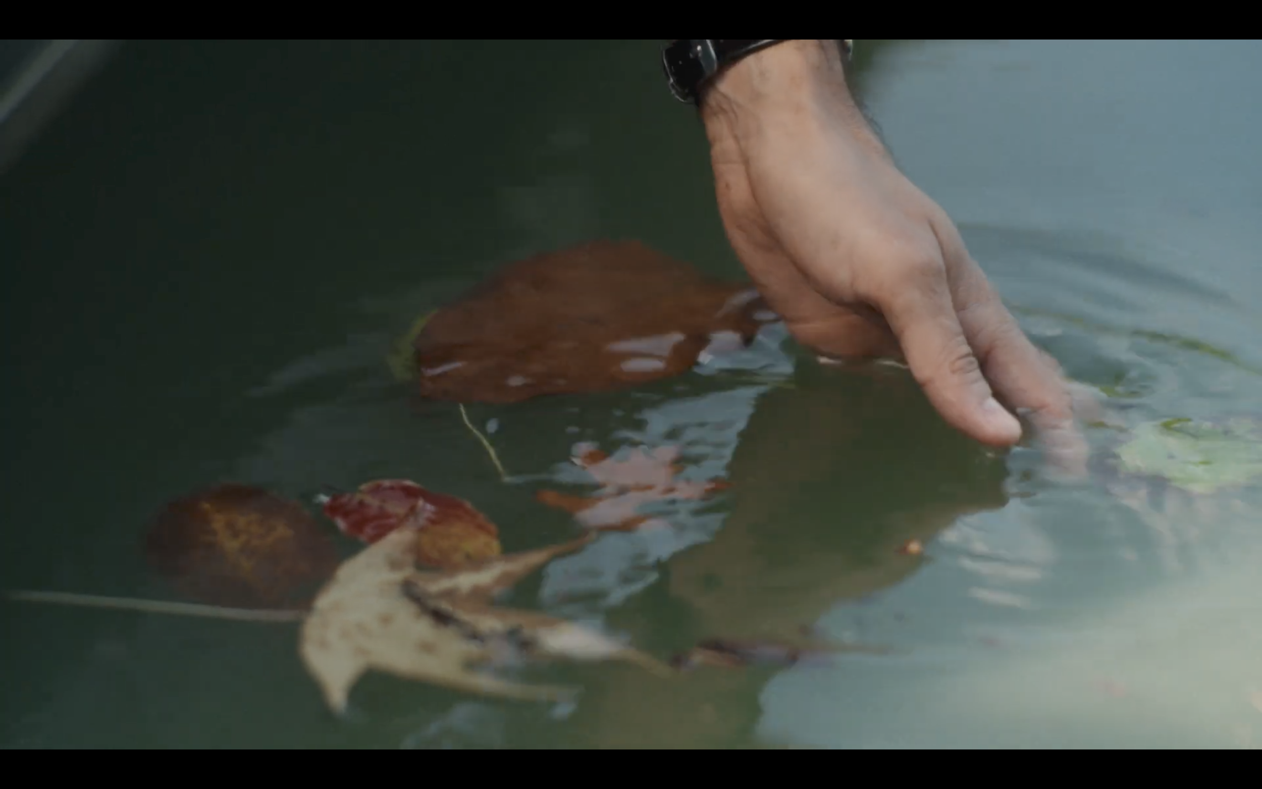 Screenshot 2024-11-24 at 11.39.36 AM.png