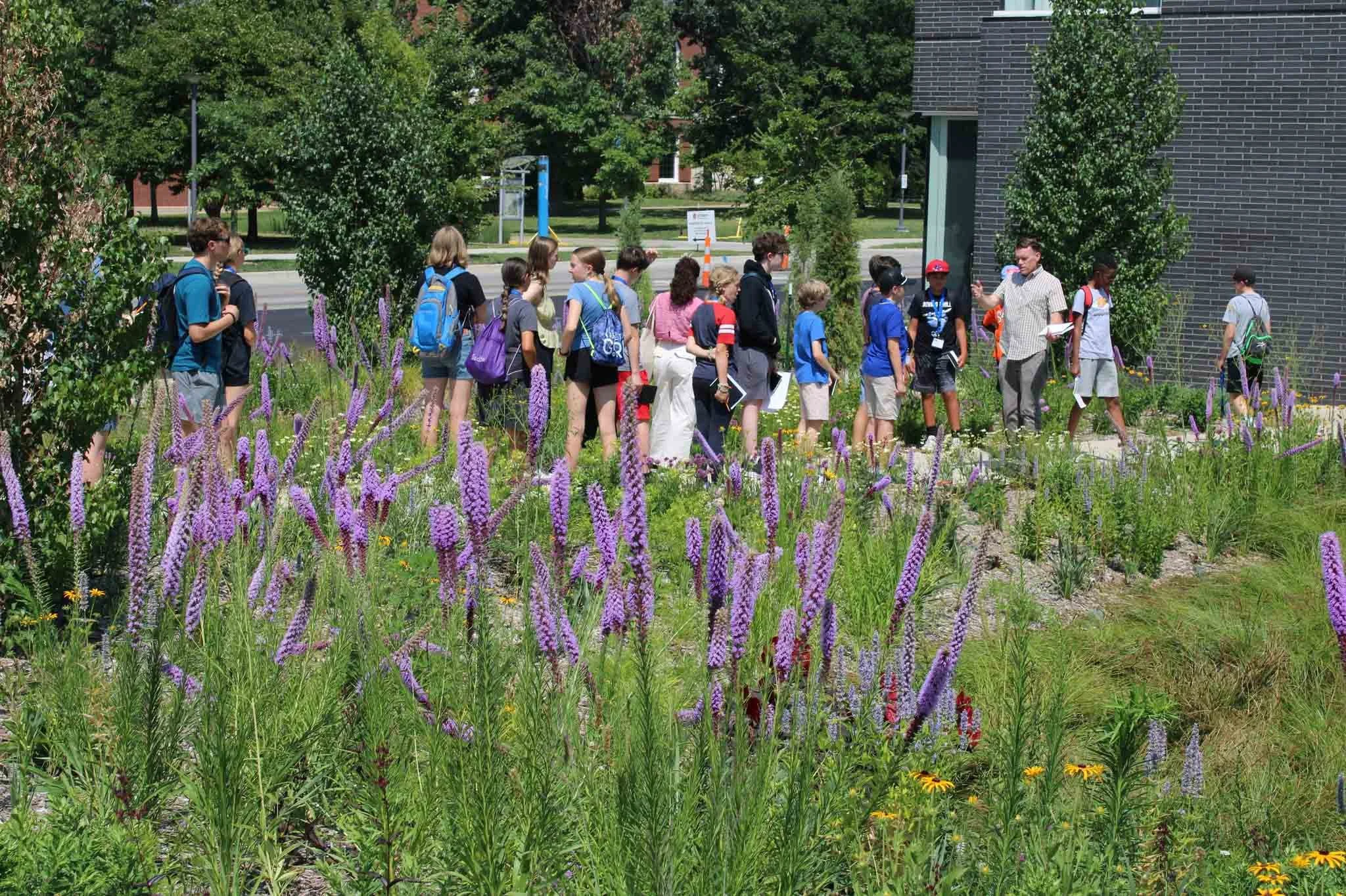A group of students walking outdoors along a path lined with purple flowers and greenery, with a dark brick building and a street in the background.