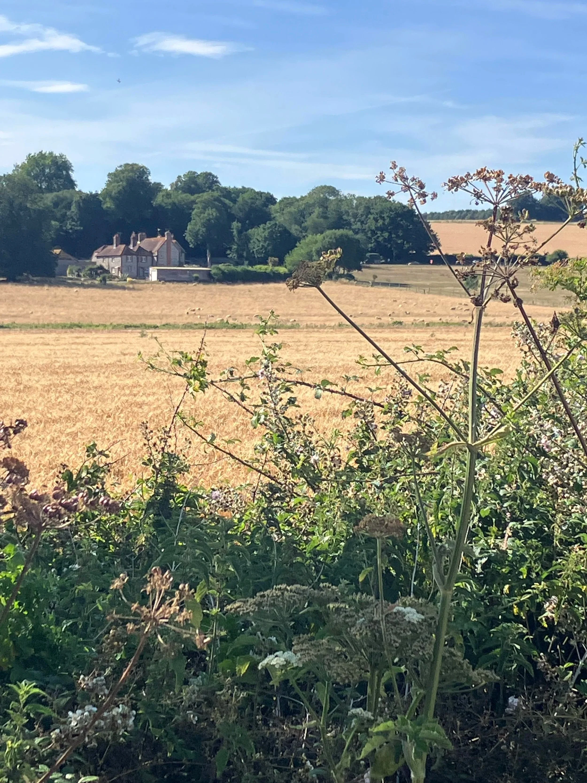 Day walk - the magical centurions way