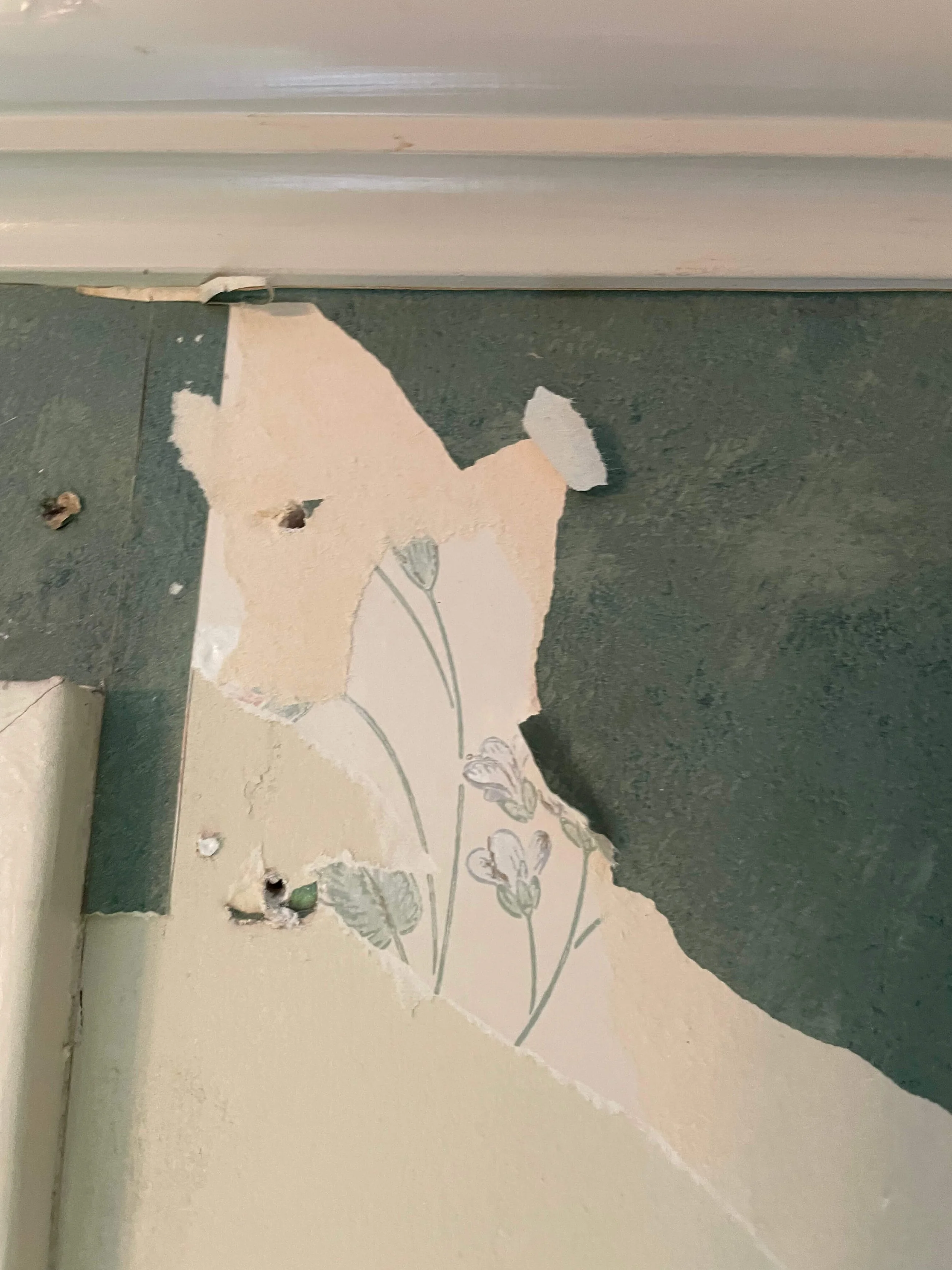 Wallpaper removal