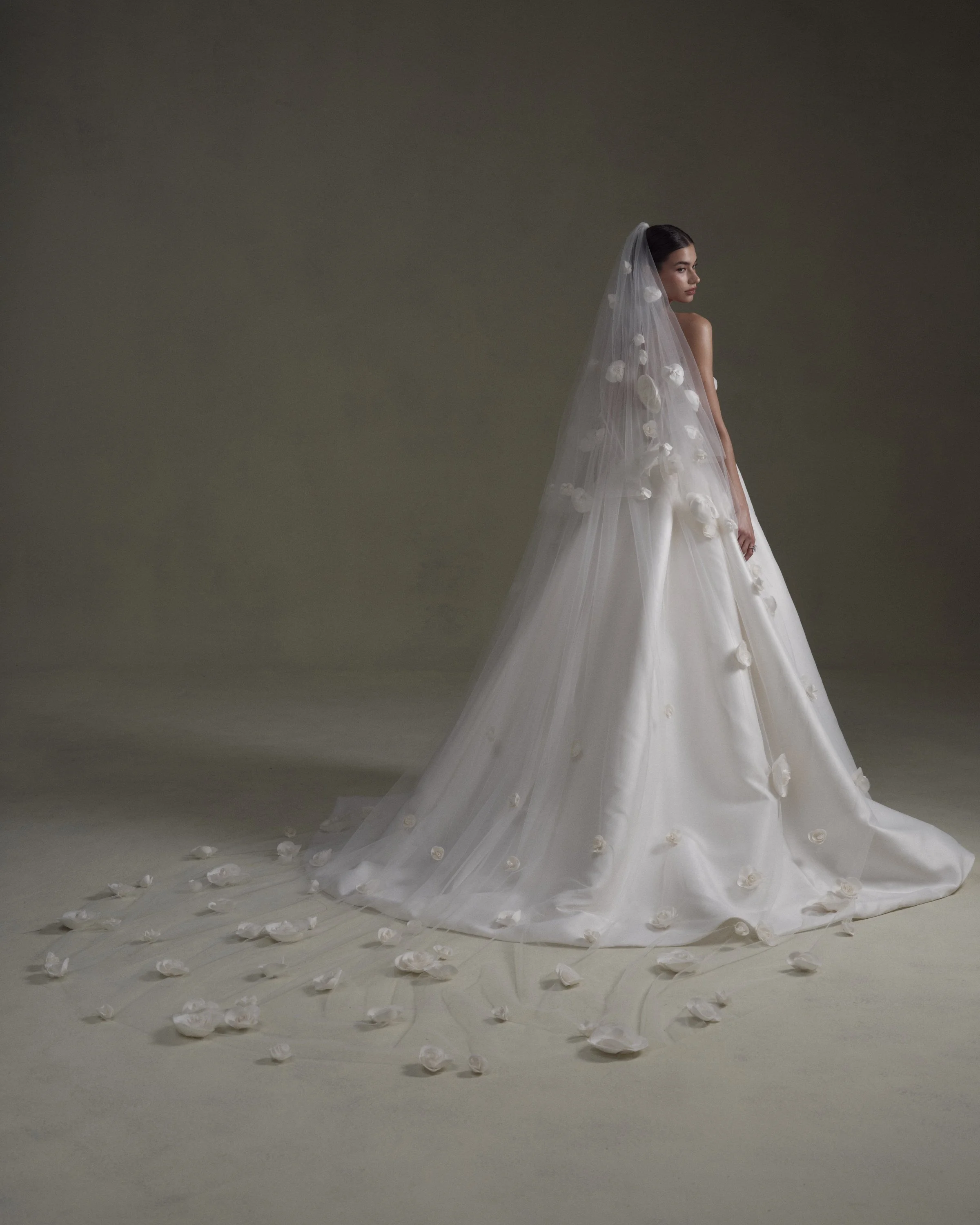 2025 0313 NF3533.jpg