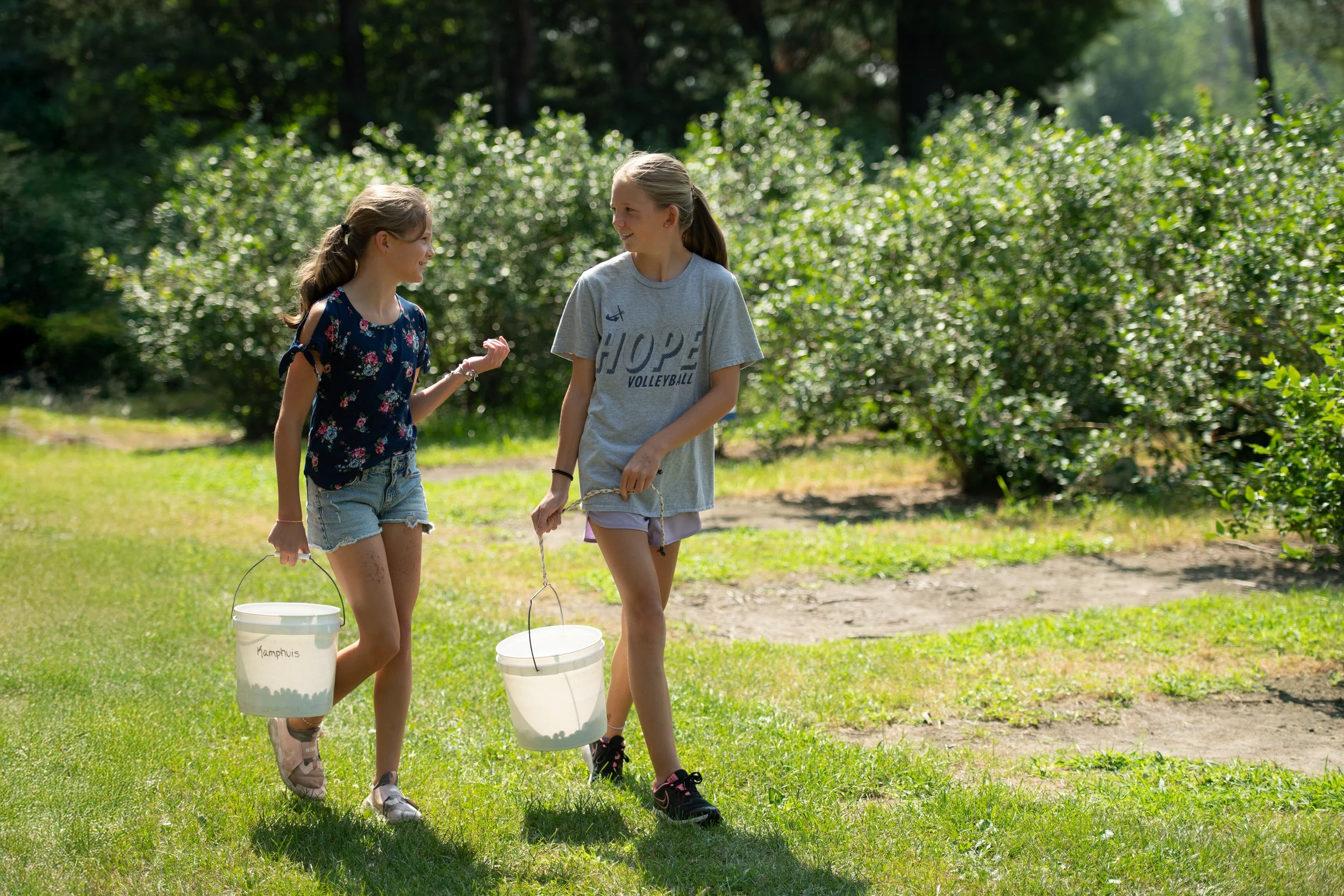 Two young girls walking through an orchard carrying buckets of picked fruit, smiling and talking to each other, surrounded by trees and green grass on a sunny day.