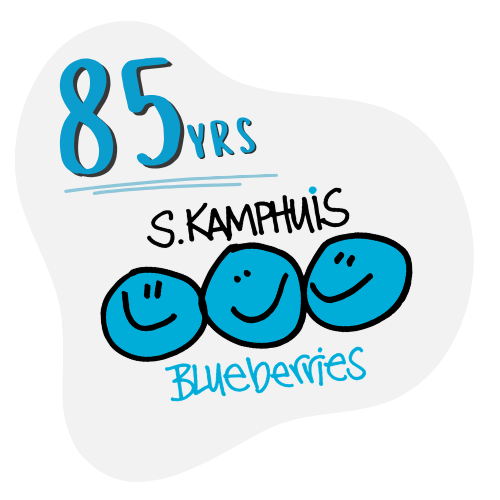 A colorful animated illustration celebrating 85 years of blueberries, featuring smiling blueberry characters and handwritten text for the celebration.