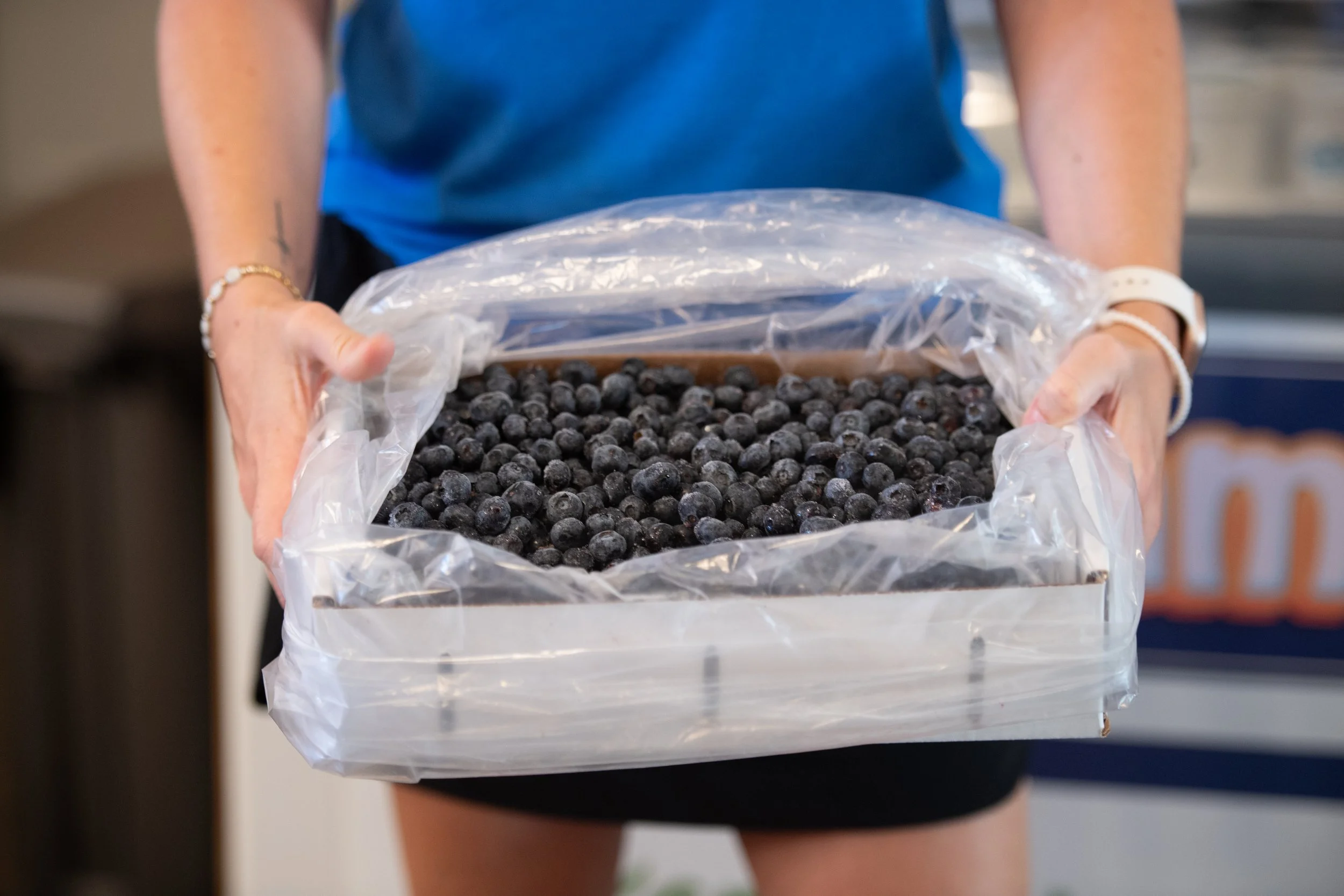 Person holding a plastic-lined box filled with fresh blueberries.
