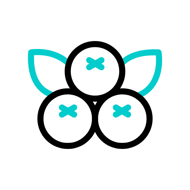 Illustration of blueberries with green leaves.