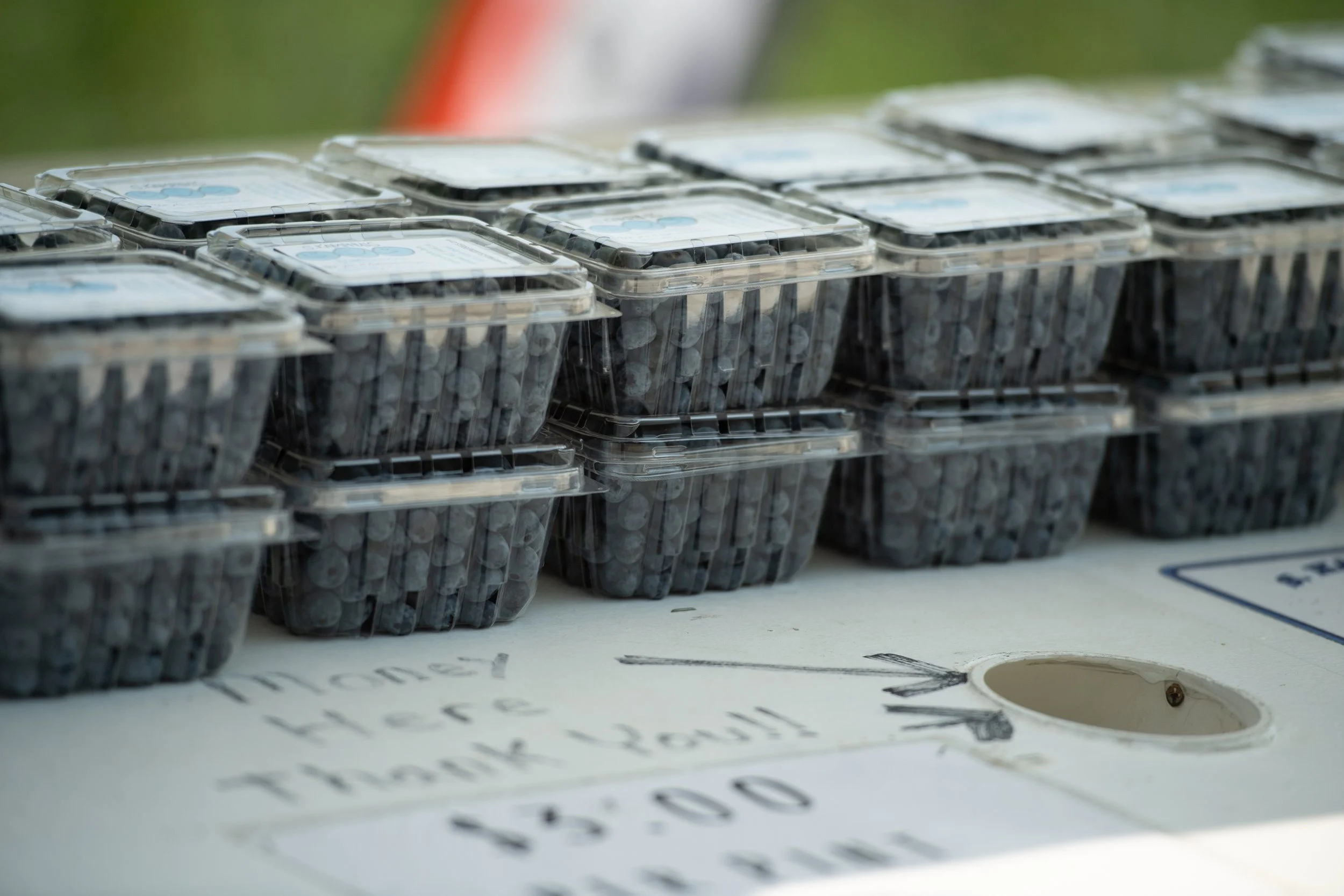Containers of blueberries on a table with a handwritten sign reading 'Thank You' and an arrow pointing to a money slot.