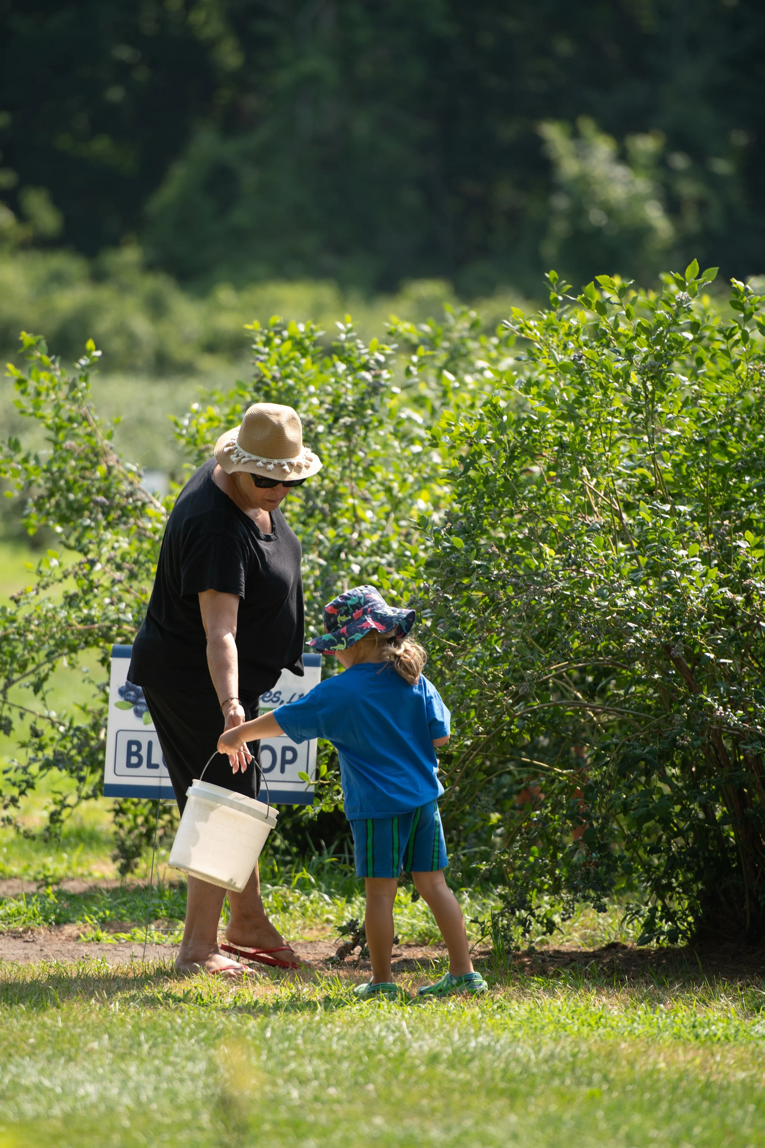 A woman wearing a sun hat and black clothing is talking to a young girl in a blue outfit and colorful hat in a blueberry farm. The woman is holding a white basket, and there is a sign in the background that says 'BLUEBERRY.'