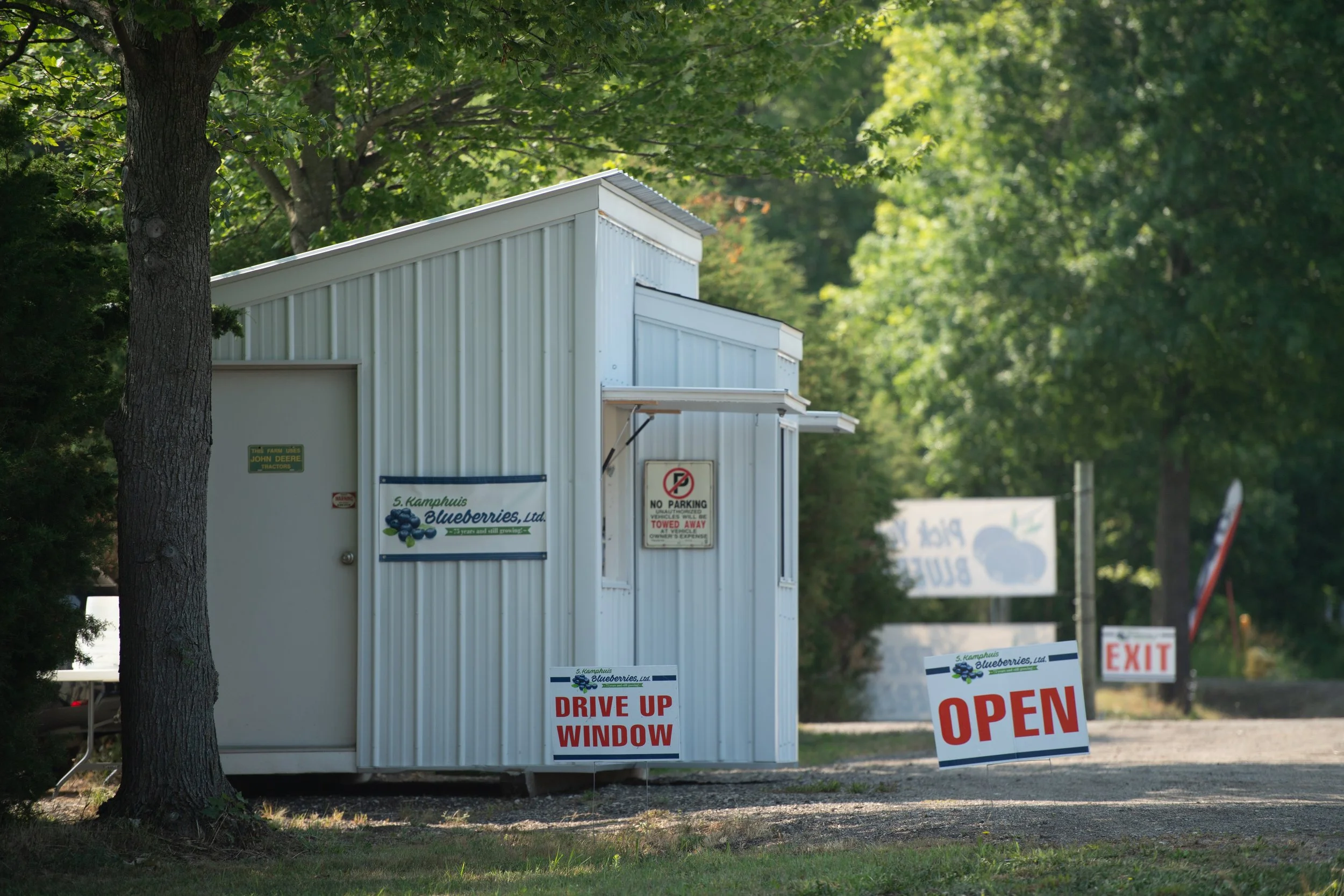 A small white portable building with signs indicating it is an open blueberry stand, with signs reading 'Drive Up Window' and 'Open', set in a rural area with trees and a gravel path.
