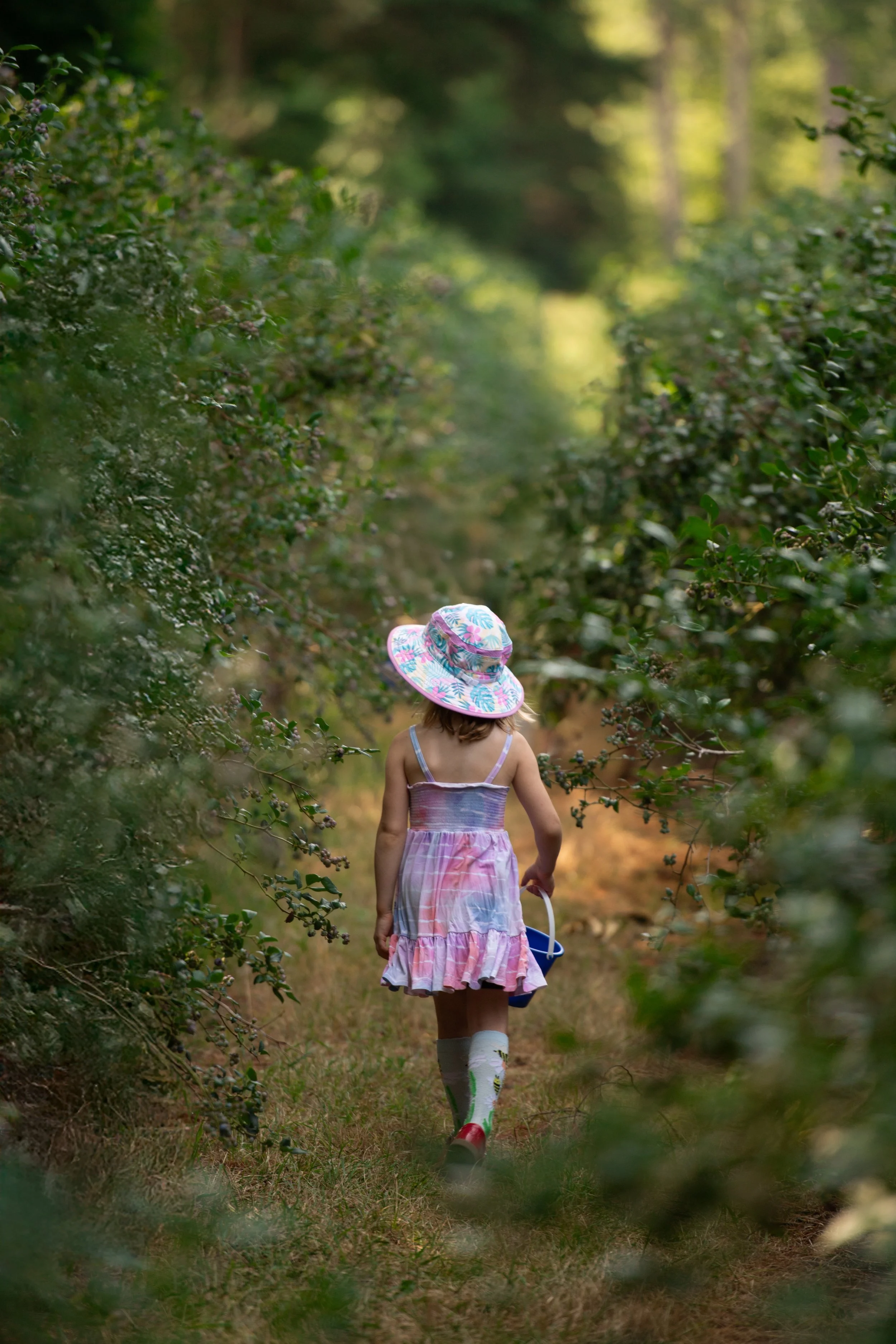 A young girl walking down a narrow trail through a green forest, wearing a colorful dress, a wide-brimmed hat, and knee-high socks, carrying a small blue bucket.