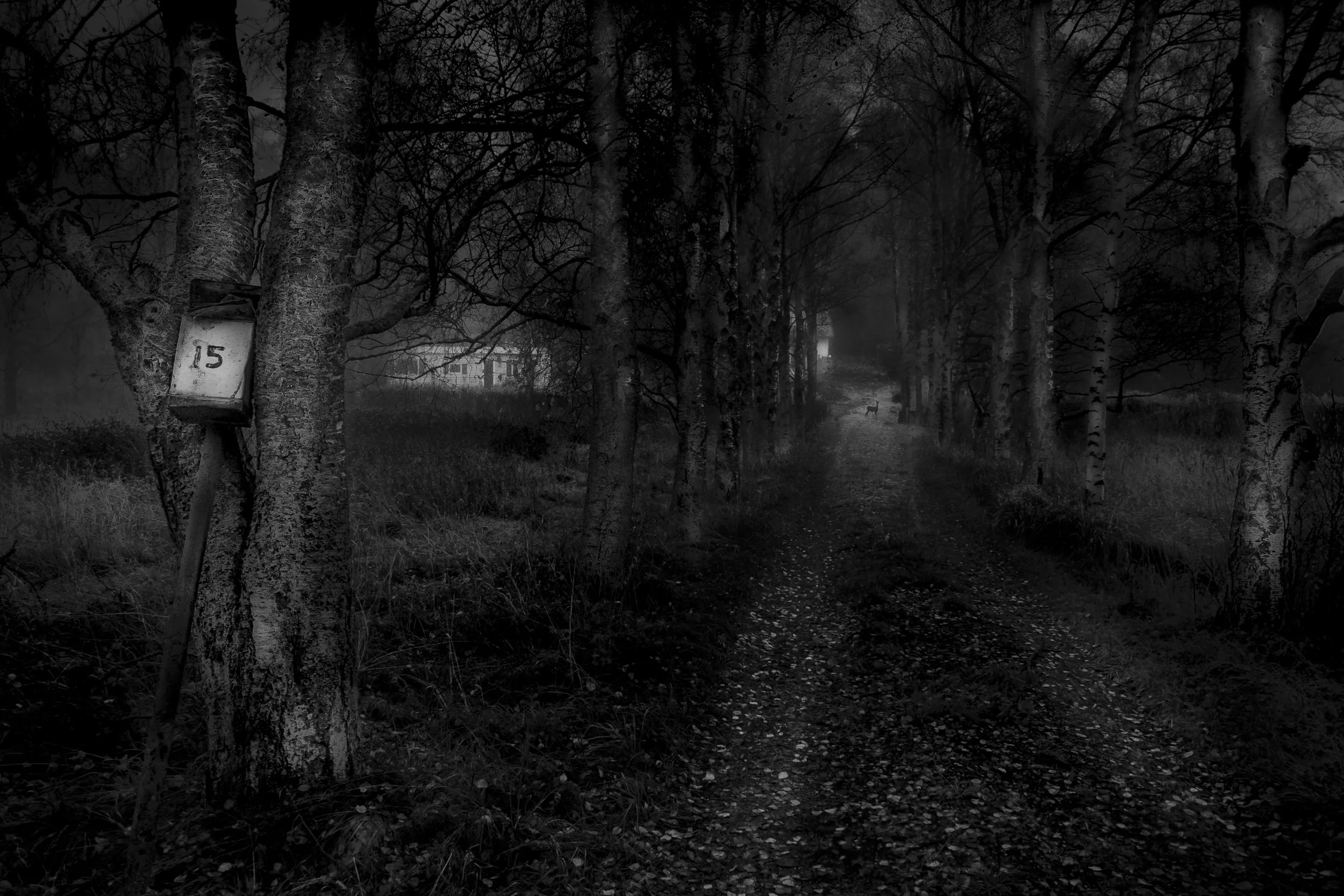 Lillängsvägen 15.jpg