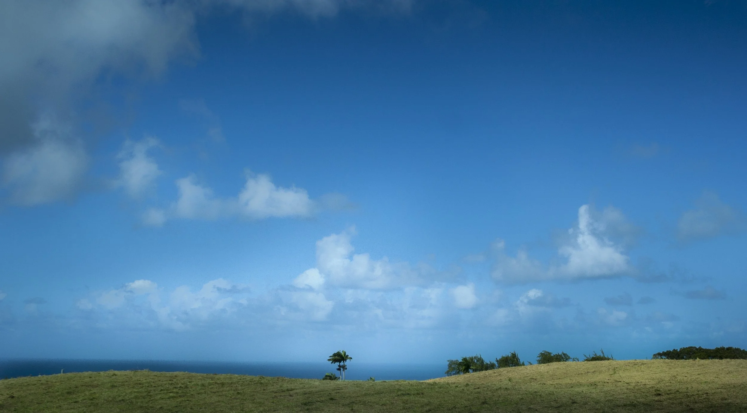 hills-of-barbados.jpg