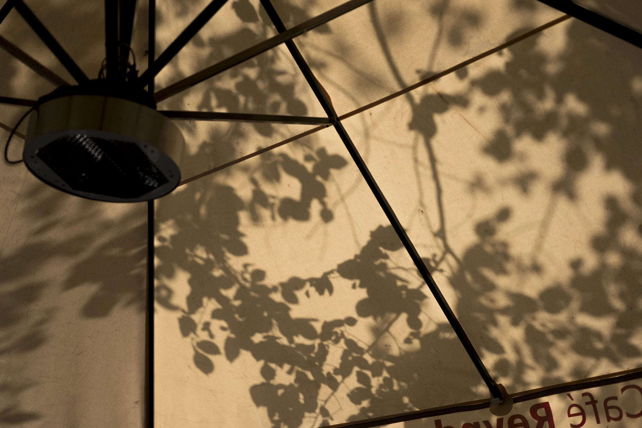 parasol-and-shadows.jpg
