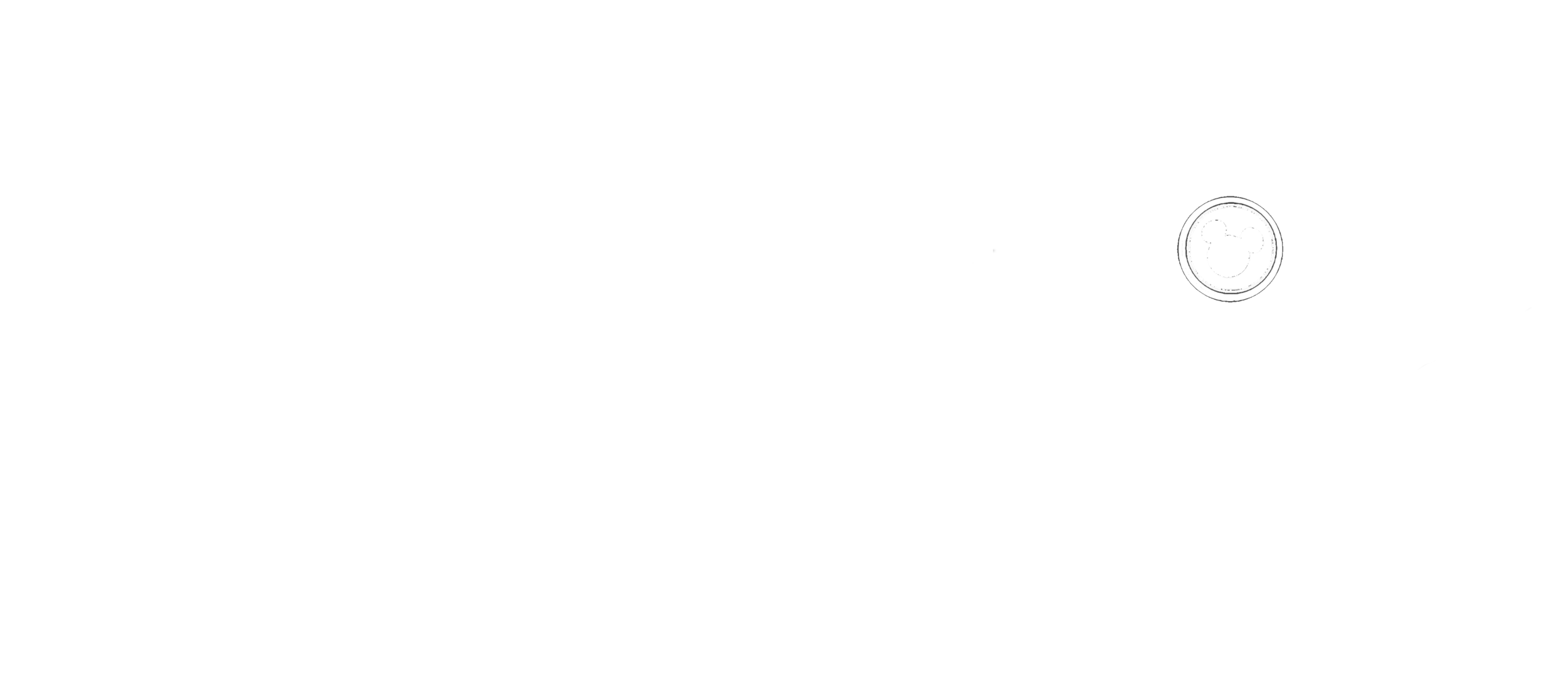Black and white Disney authorized vacation planner with a stylized Mickey Mouse head and a smiling face.