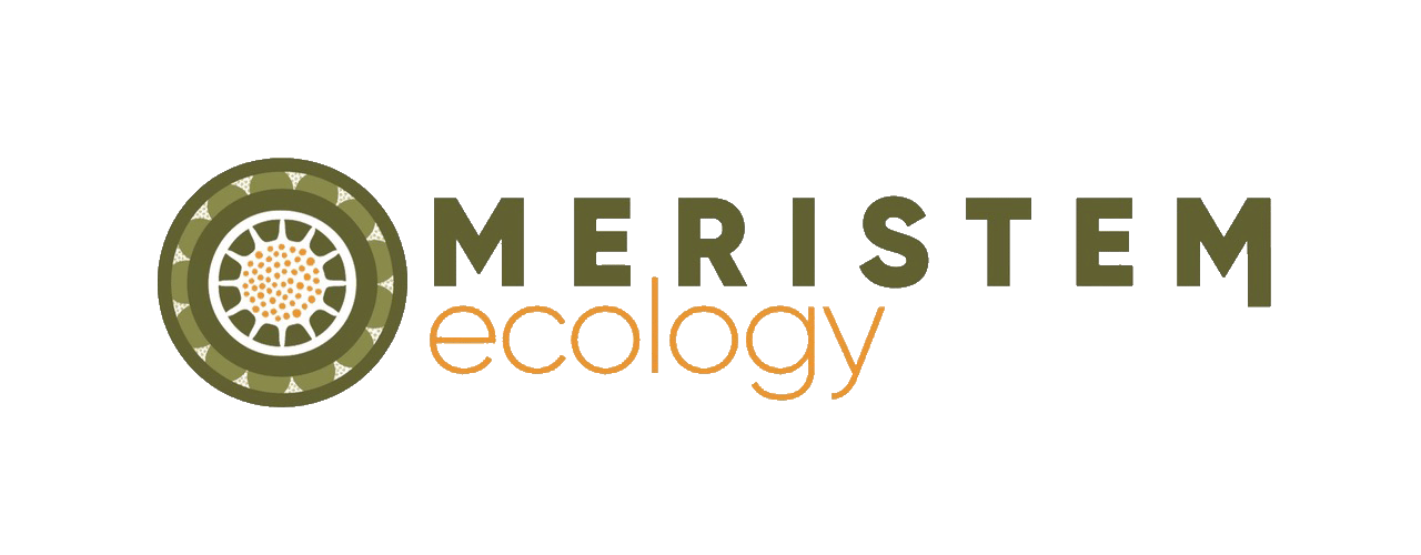 Meristem Ecology