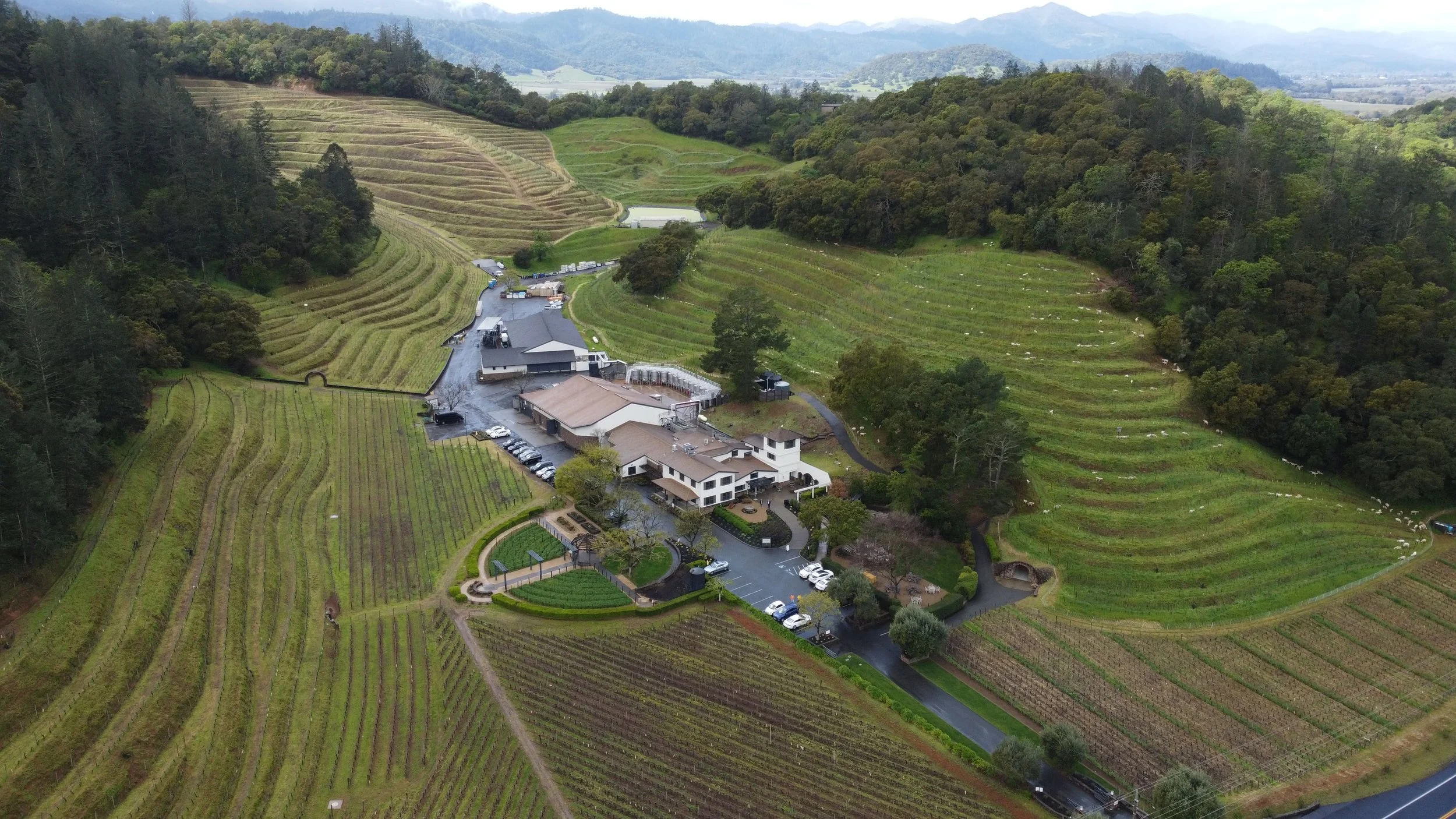 Aerial view of a large winery or vineyard estate nestled in rolling green hills with cultivated fields and a central complex of buildings, surrounded by trees and scenic landscape.