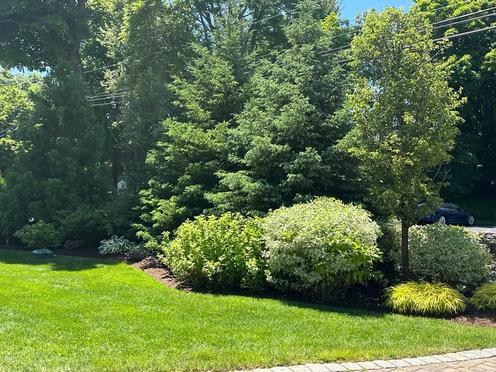 PHOTO-2026-03-02-15-42-55 5.jpg