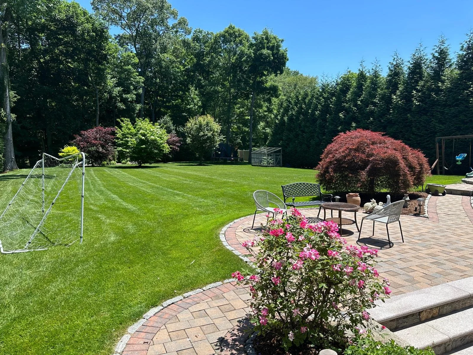 PHOTO-2026-03-02-15-42-55 6.jpg