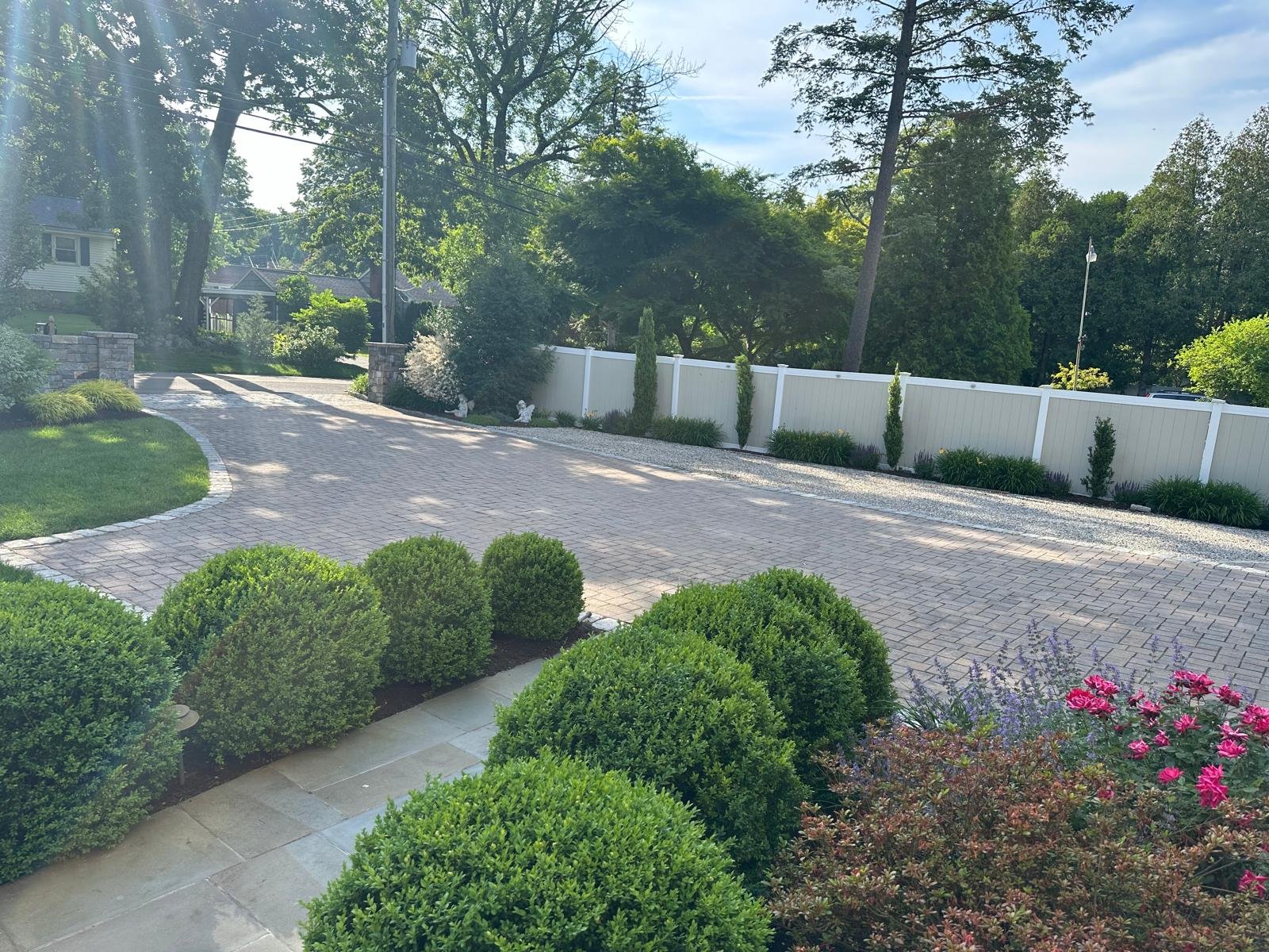 PHOTO-2026-03-02-15-42-55 3.jpg