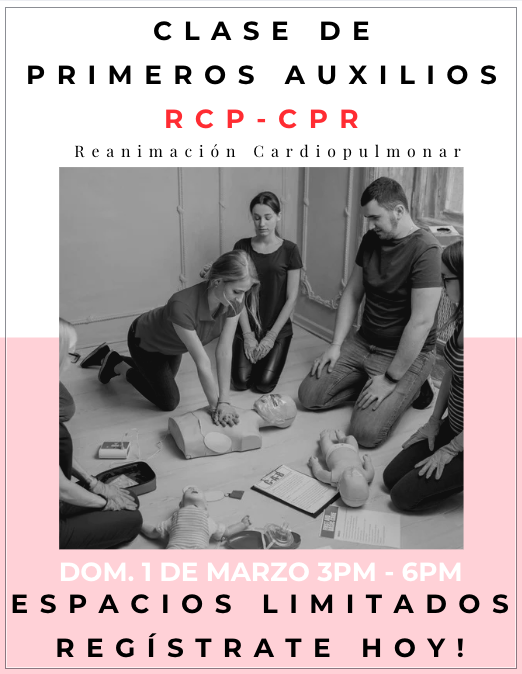 Screenshot 2026-02-23 at 1.10.01 PM.png