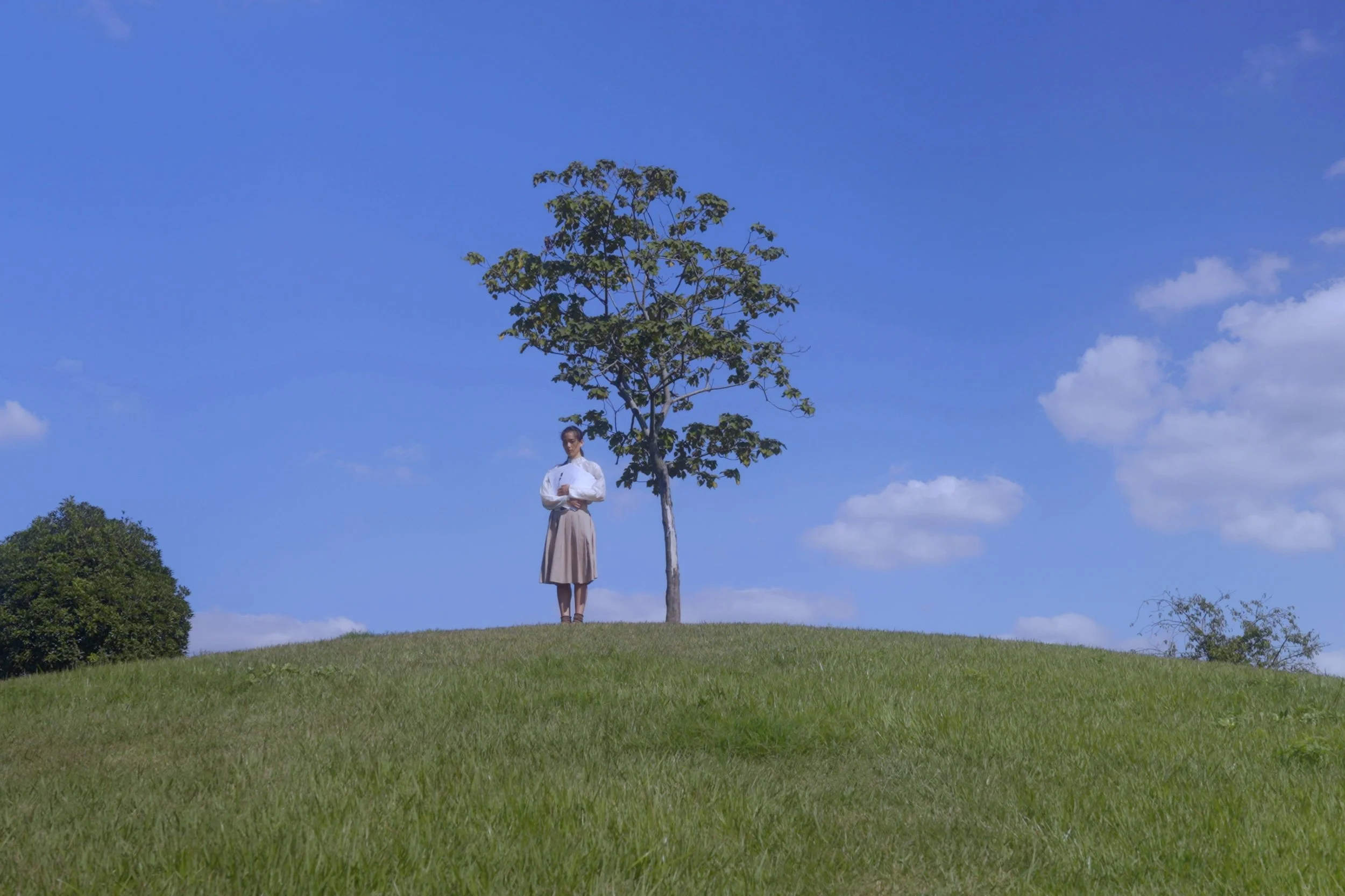 Y a woman from the film Pigs in Heaven standing under a tree on a grassy hilltop against a blue sky with clouds.