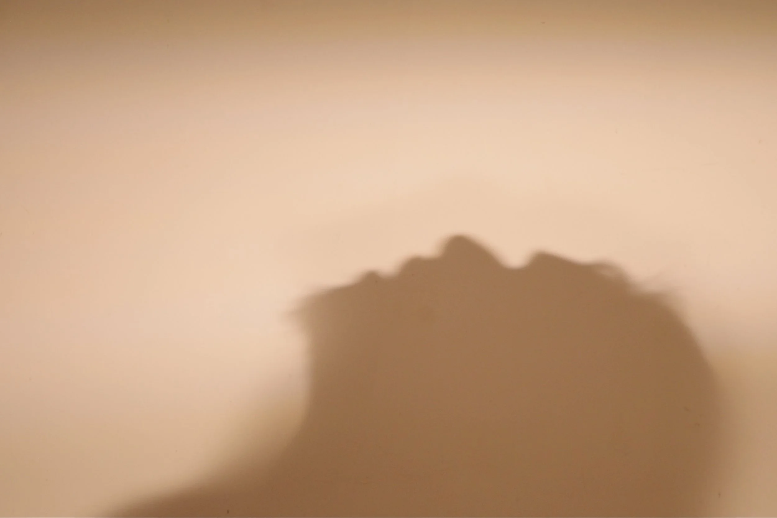 The shadow of K's head and hair in the glow of the mornig sun in the film Pigs in Heaven