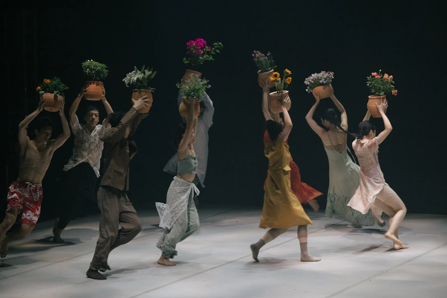A group of performers holding potted flowers above their heads during a dance. From the dance theatre production Flowers of Ruin.