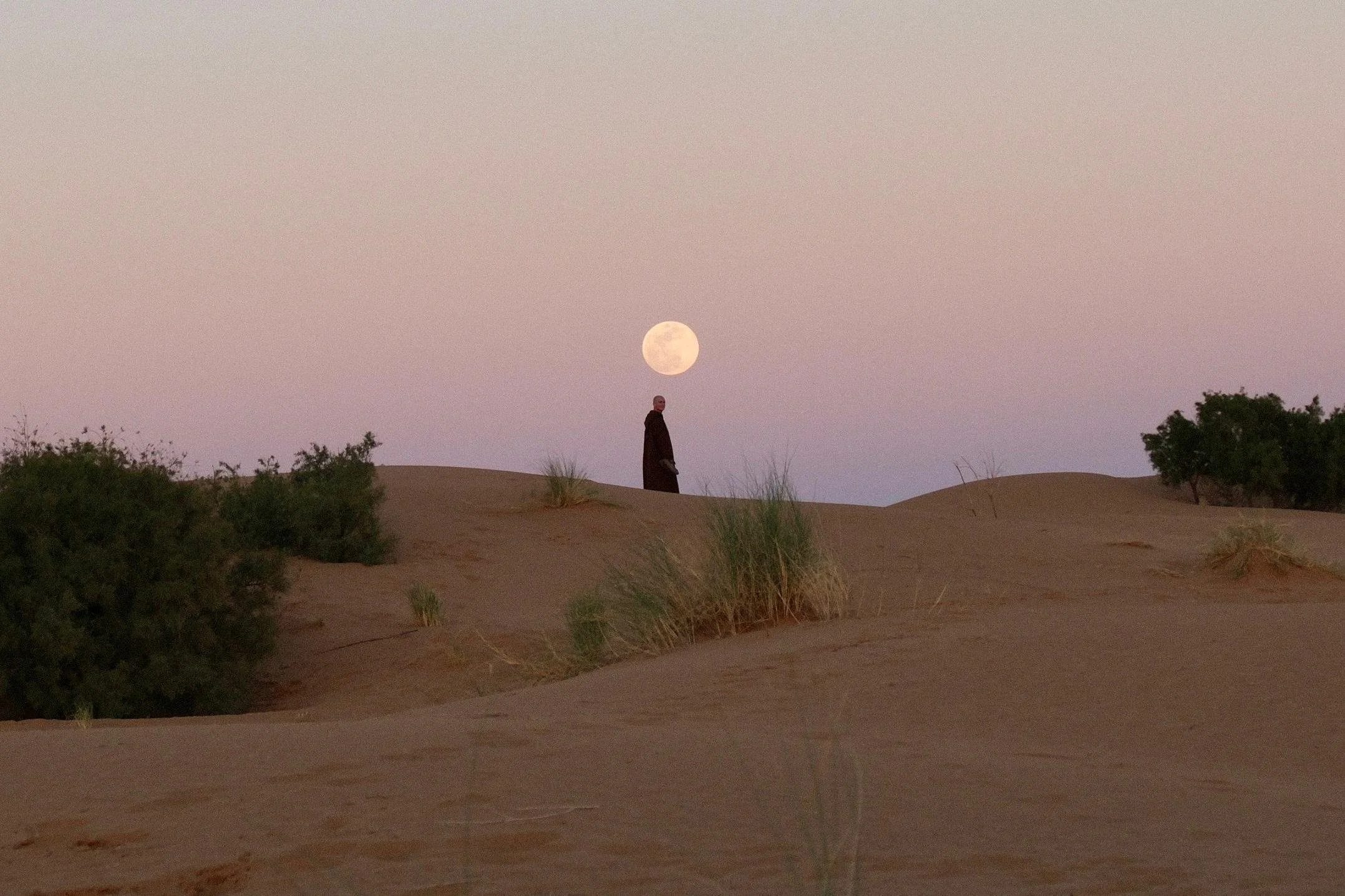 WhatsApp Image 2026-02-11 at 09.53.45.jpeg