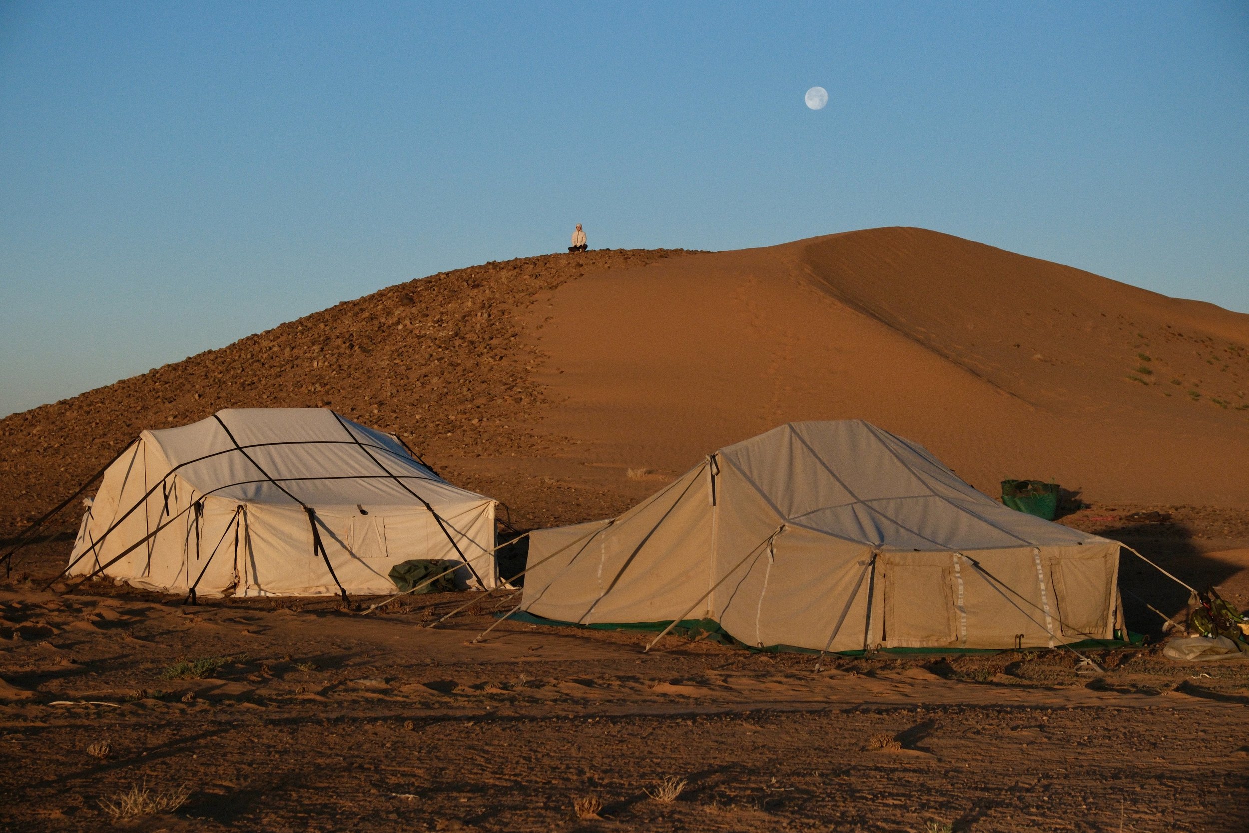DSCF3535 1.jpg