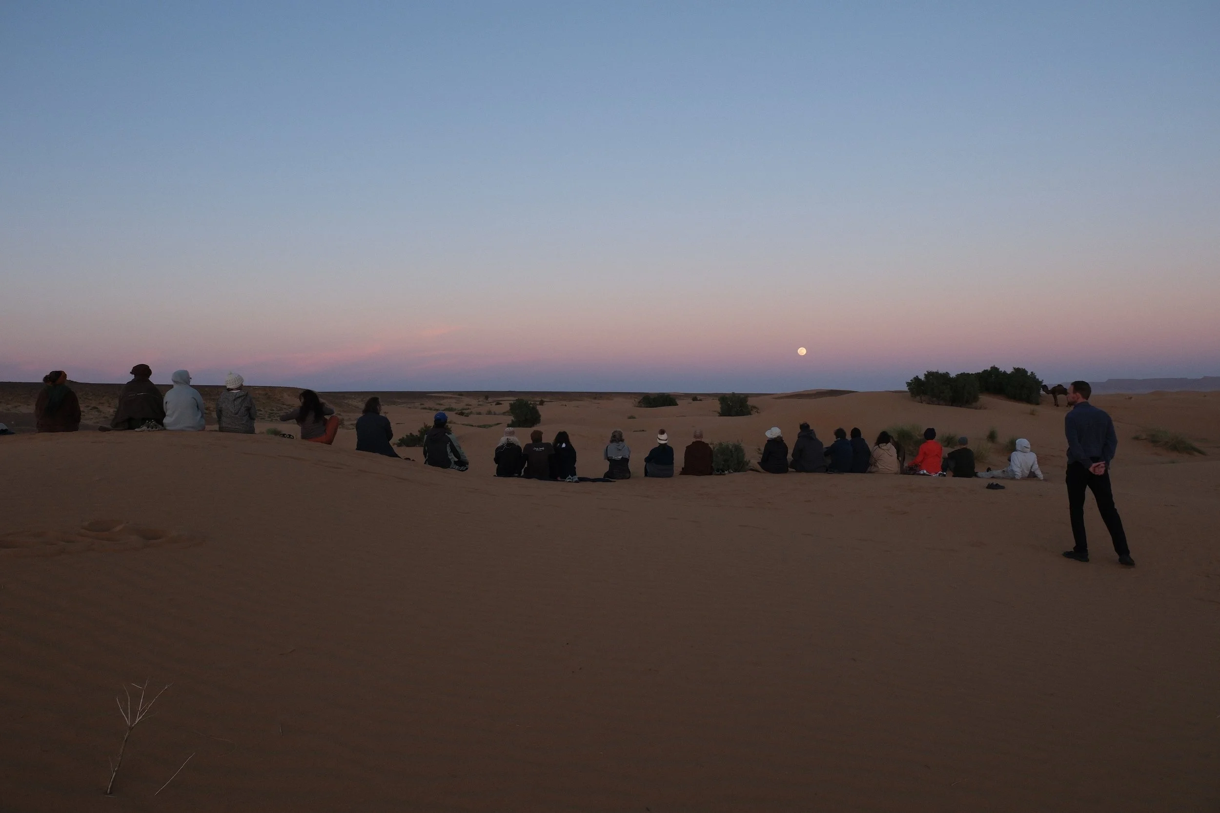 DSCF2909.JPG