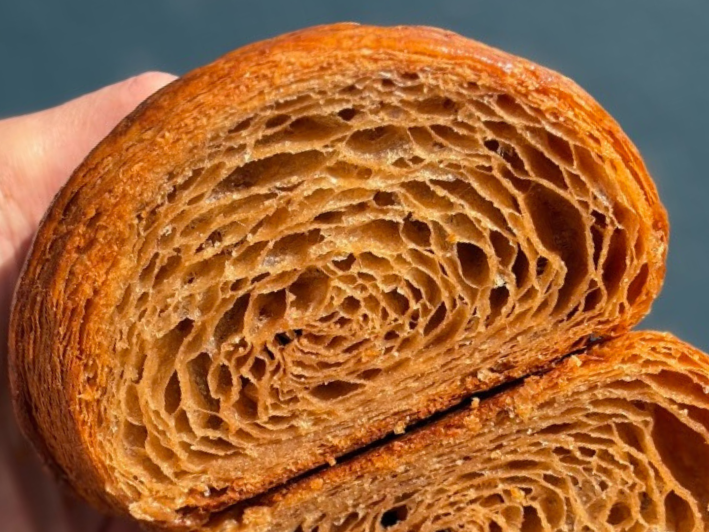 Close-up of a bagel showing its toasted, layered, and chewy interior.